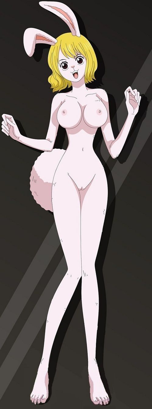 one piece fav Bildnummer 9