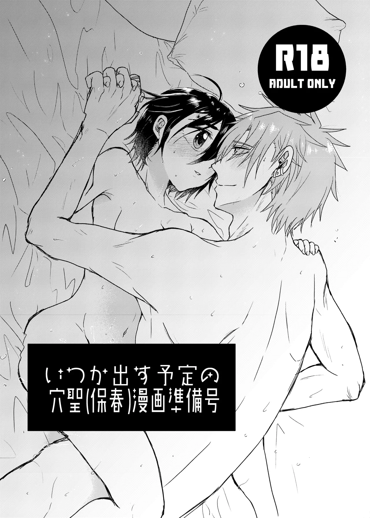 [MAYAMA13 (Karita Maya)] Itsuka Dasu Yotei no AnaHijiri (Tamoharu) Manga Junbigou (ID:INVADED) 图片编号 1