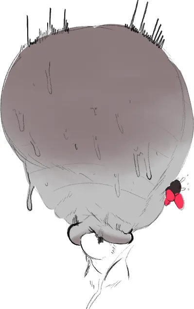 Dumplis (artist) image number 48