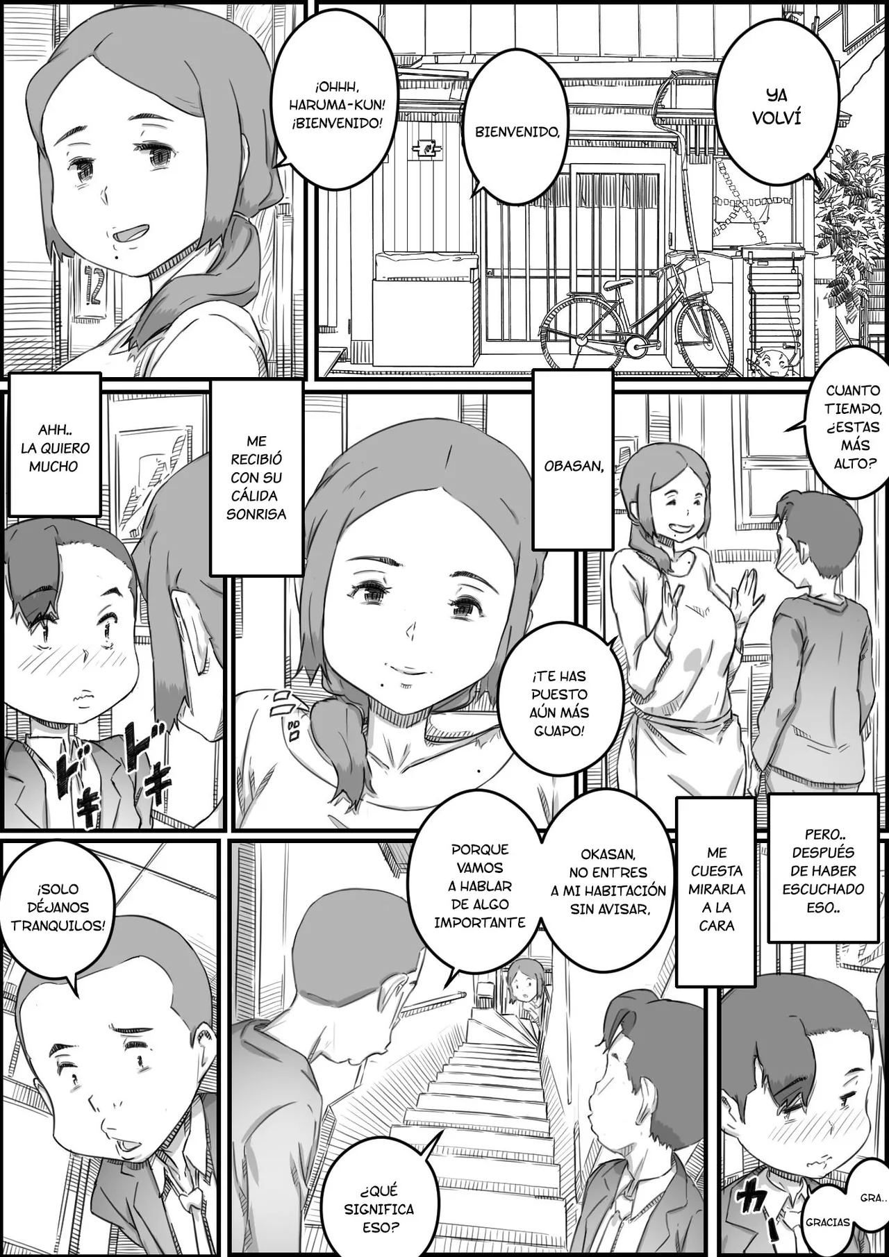 Boshi Swap Bildnummer 17