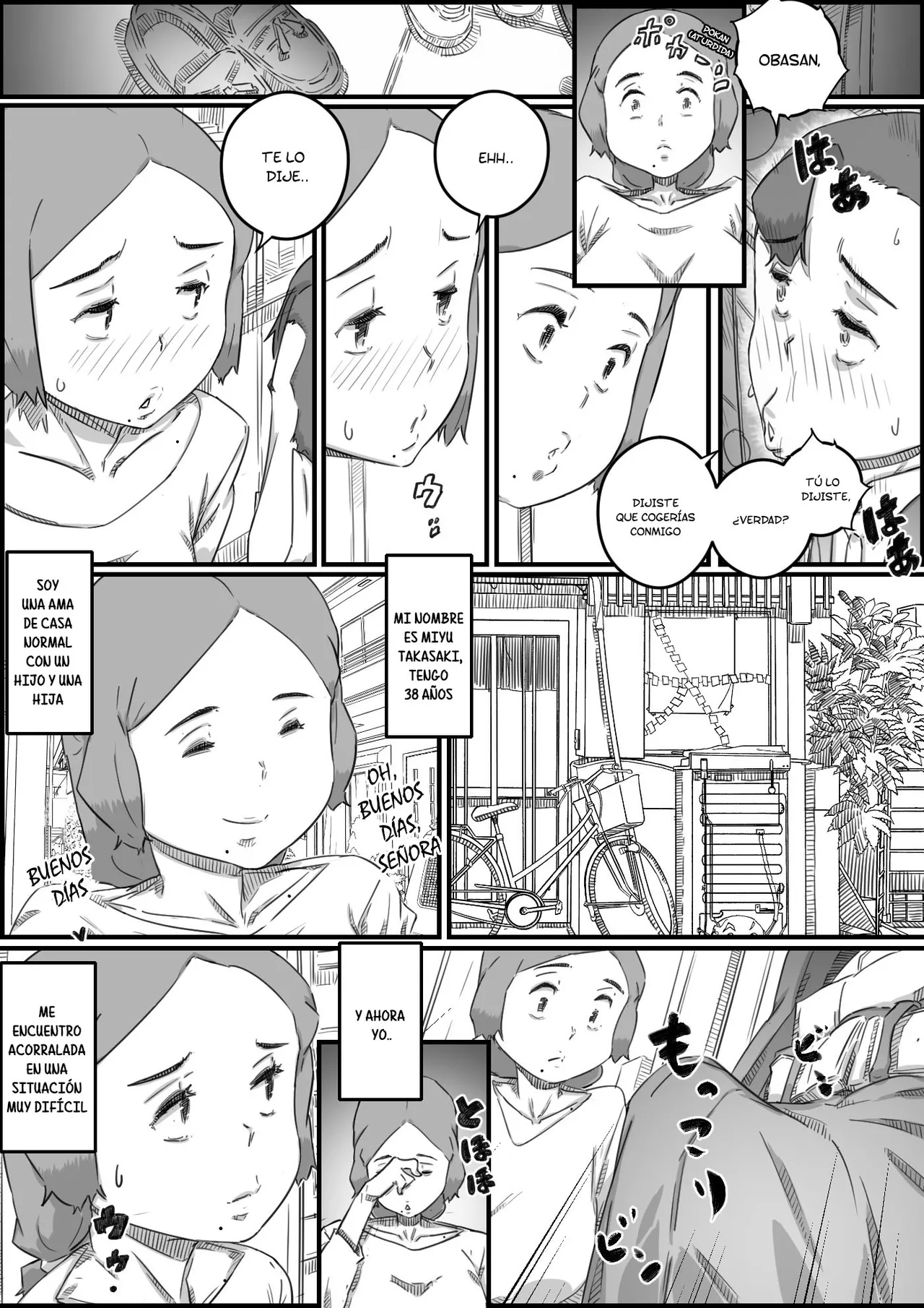 Boshi Swap Bildnummer 43