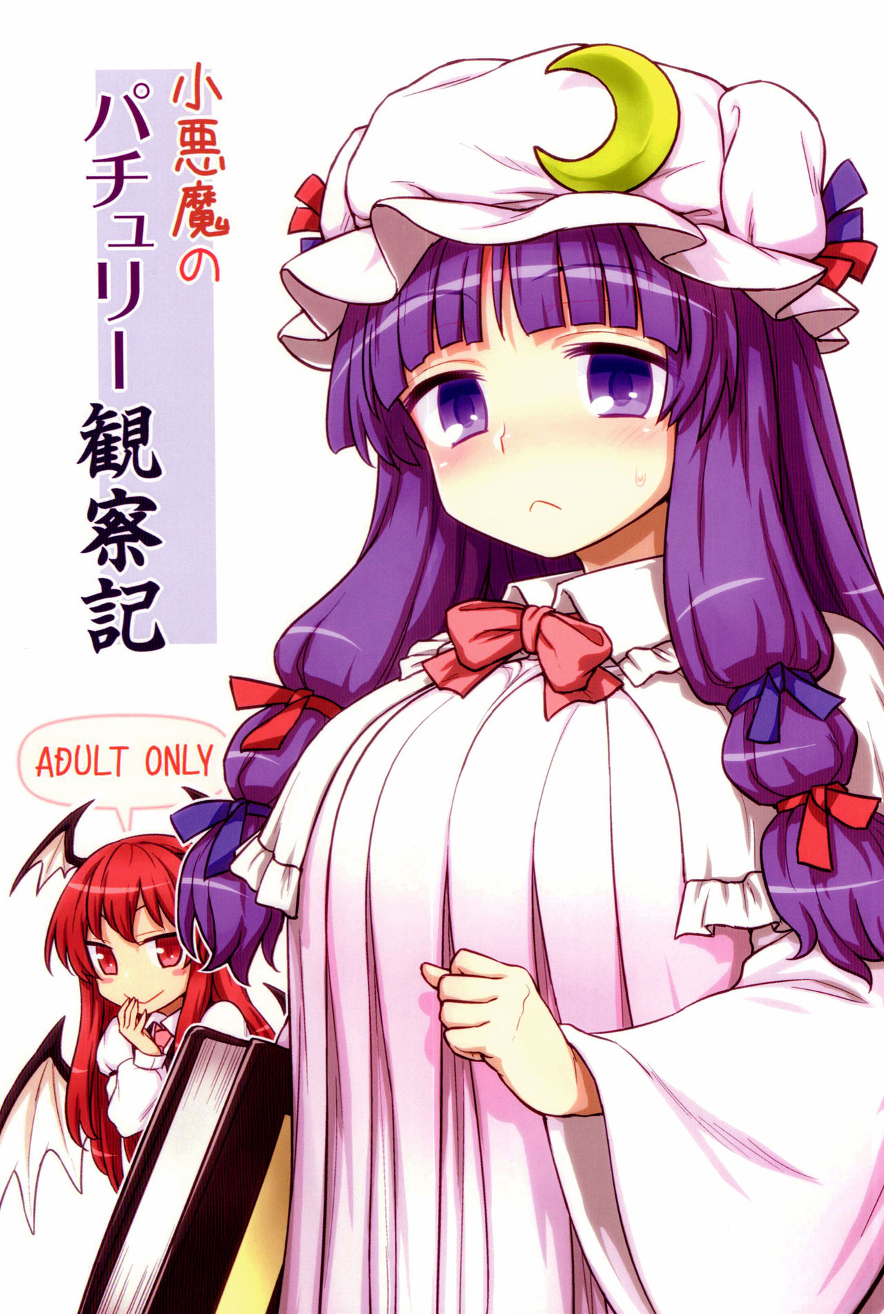 (C88) [110-GROOVE (Itou Yuuji)] Koakuma no Patchouli Kansatsuki (Touhou Project) [Chinese] [彷徨水面个人汉化] imagen número 1