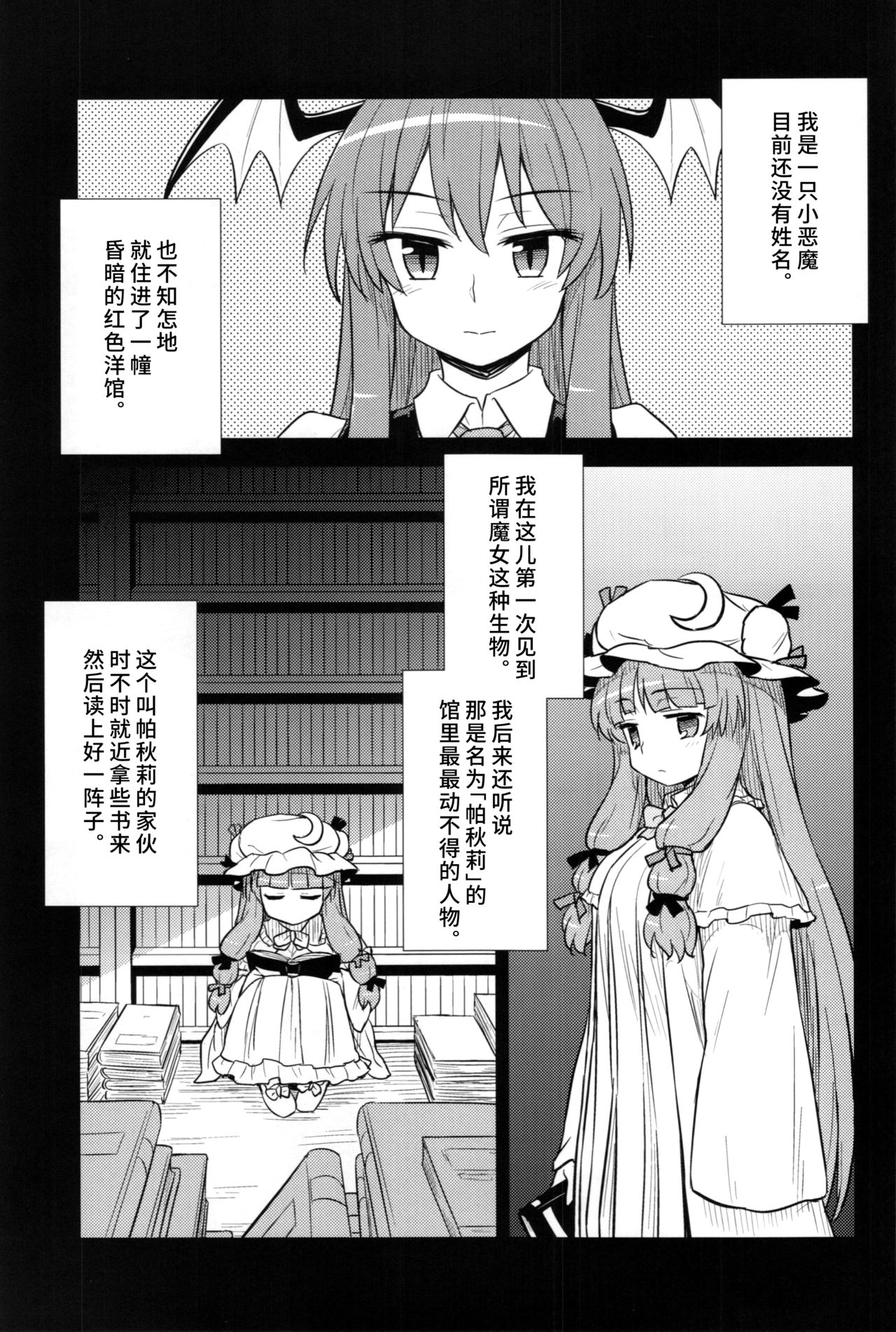 (C88) [110-GROOVE (Itou Yuuji)] Koakuma no Patchouli Kansatsuki (Touhou Project) [Chinese] [彷徨水面个人汉化] imagen número 3