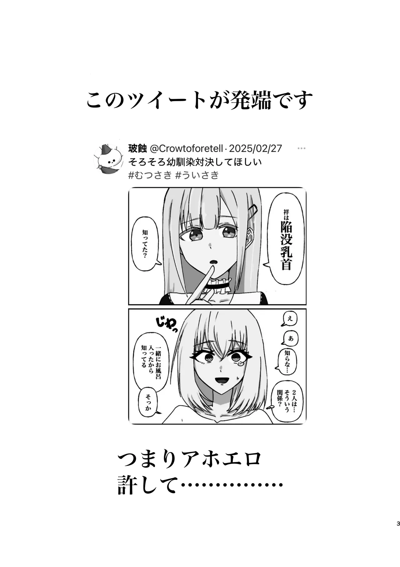 Togawa Sakiko kanbotsu chikubi hon 图片编号 3