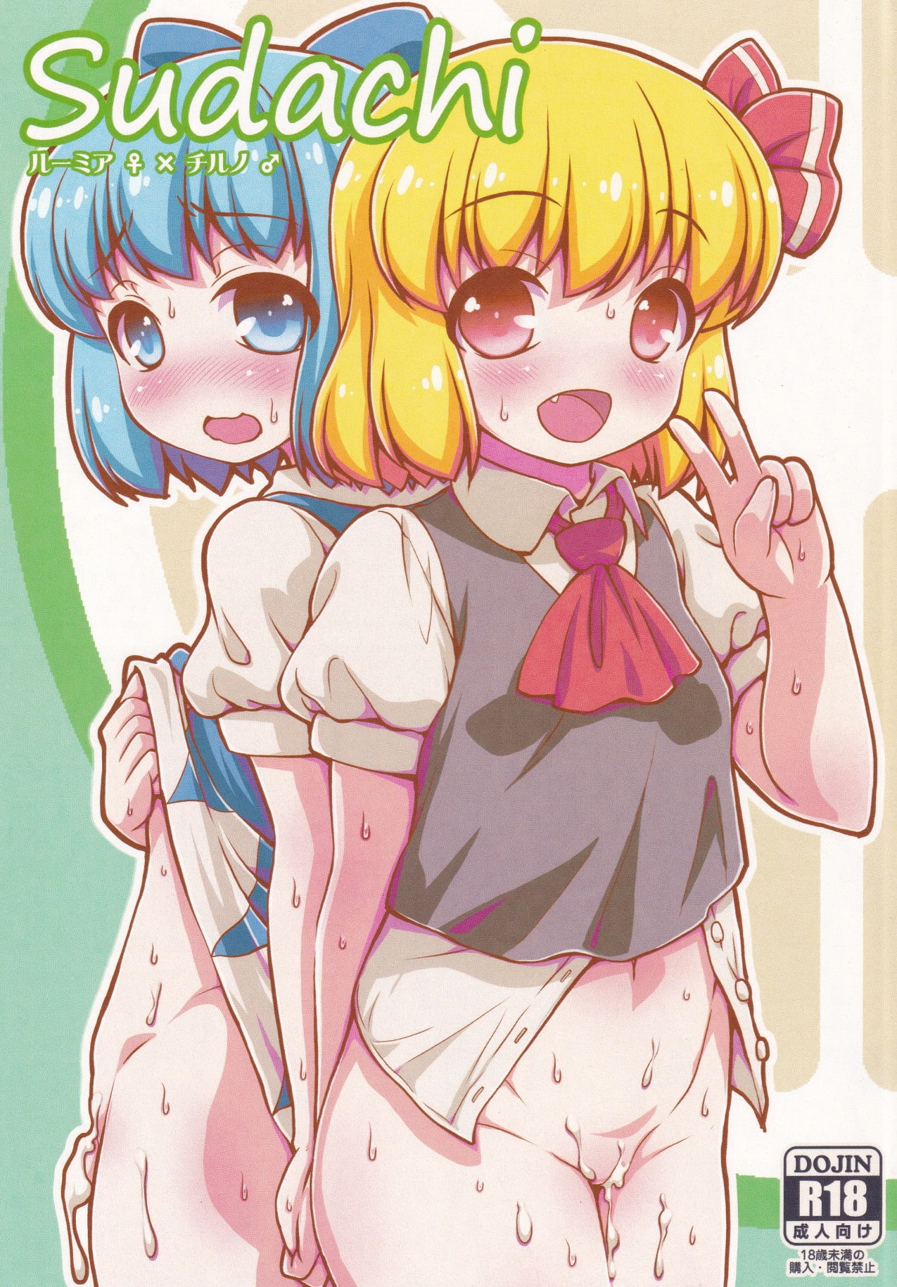 (C96) [Madou Shiryoushitsu (Arashi-D-Akira, emina)] Sudachi (Touhou Project) imagen número 1