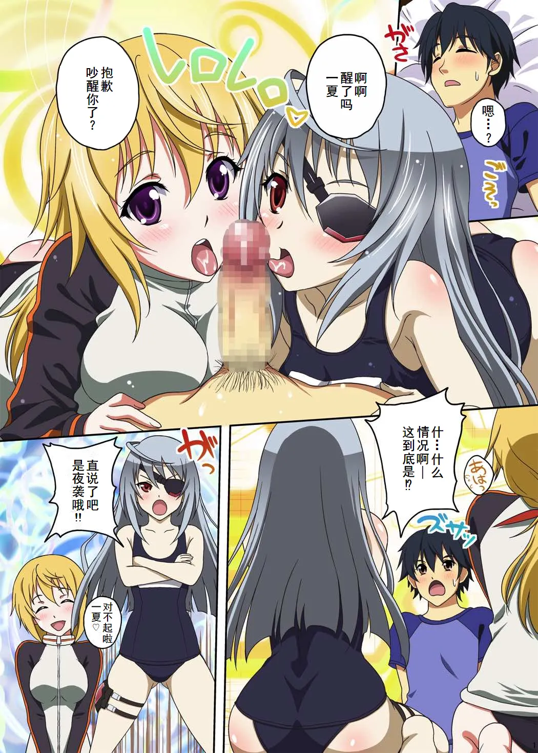 (C80) [Studio Aruta (Kusui Aruta)] IS no Hon (Kari) (IS <Infinite Stratos>) [Chinese] [廉价汉化组] image number 3