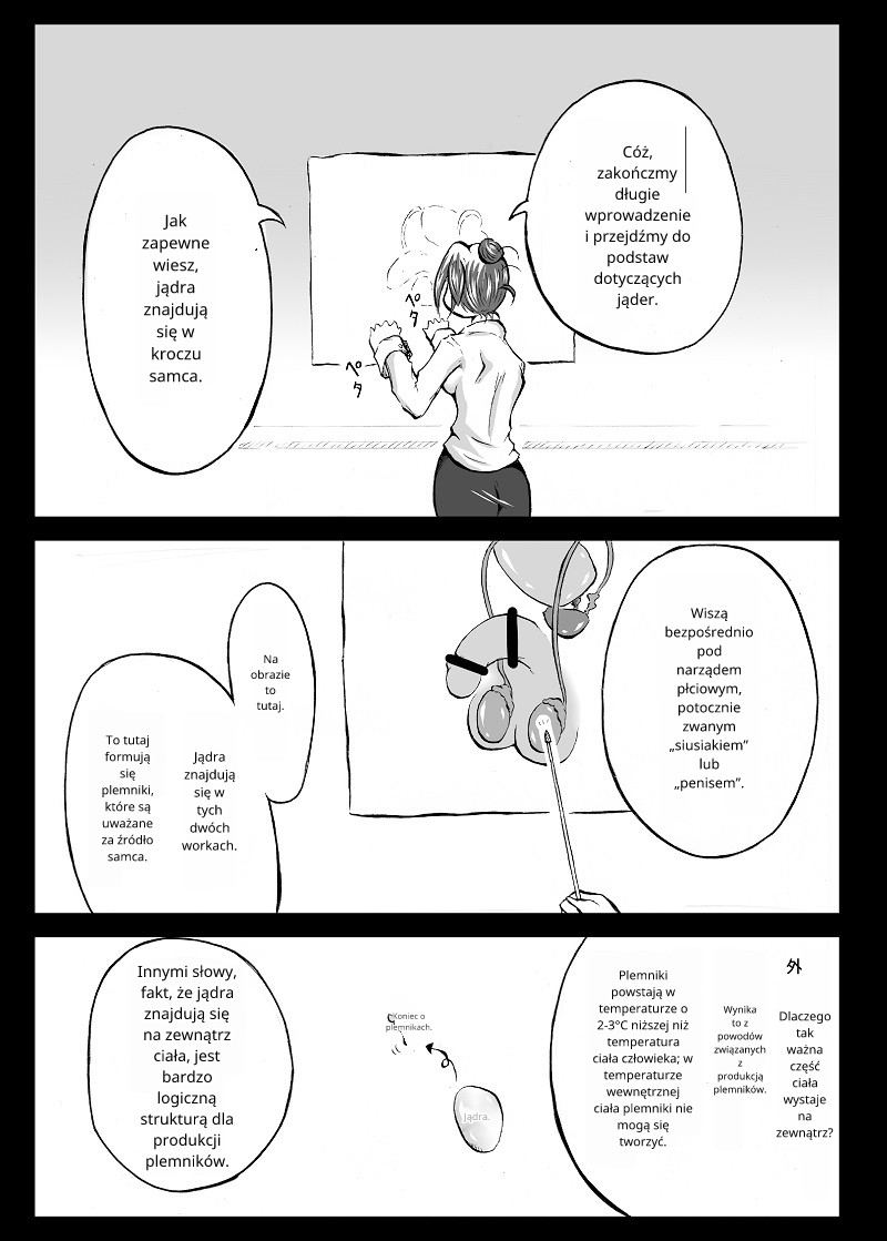 Ball torture textbook (futanari) [polski] image number 6