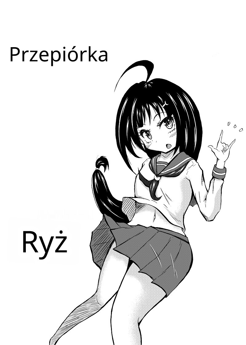 Ball torture textbook (futanari) [polski] image number 25