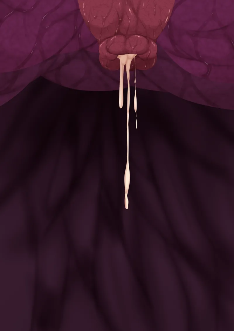 生物 image number 128