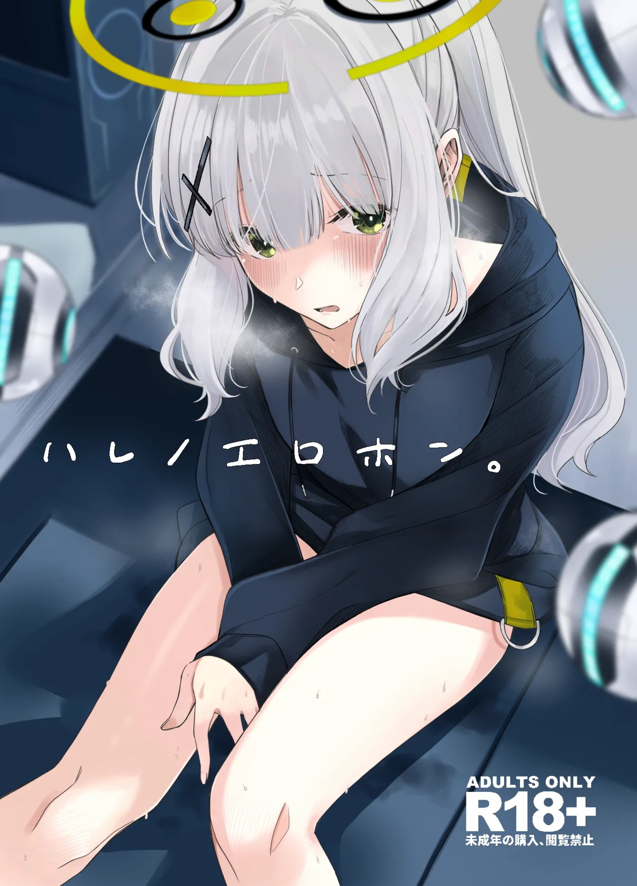 [Rodiura. (Rage)] Hare no Ero Hon. | 晴的本子。 (Blue Archive) [Chinese] [欶澜汉化组] [Digital] imagen número 2