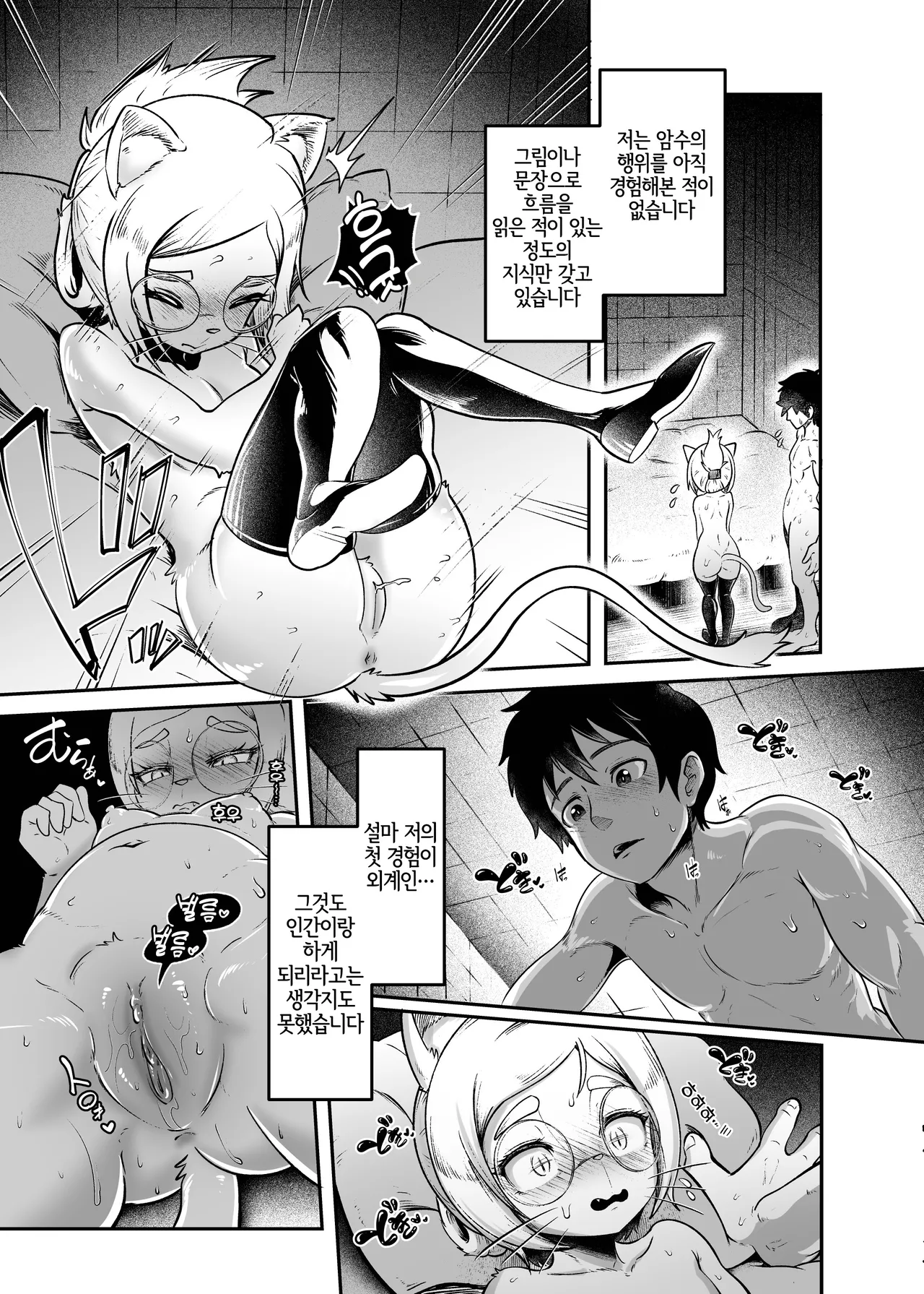 [KAWAZOKO (Kikunyi)] Tonelico Houdoukan no Ura Houkokusho | 토네리코 보도관의 비밀보고서 (Hitoner) [LWND] [Decensored] [Digital] 14eme image