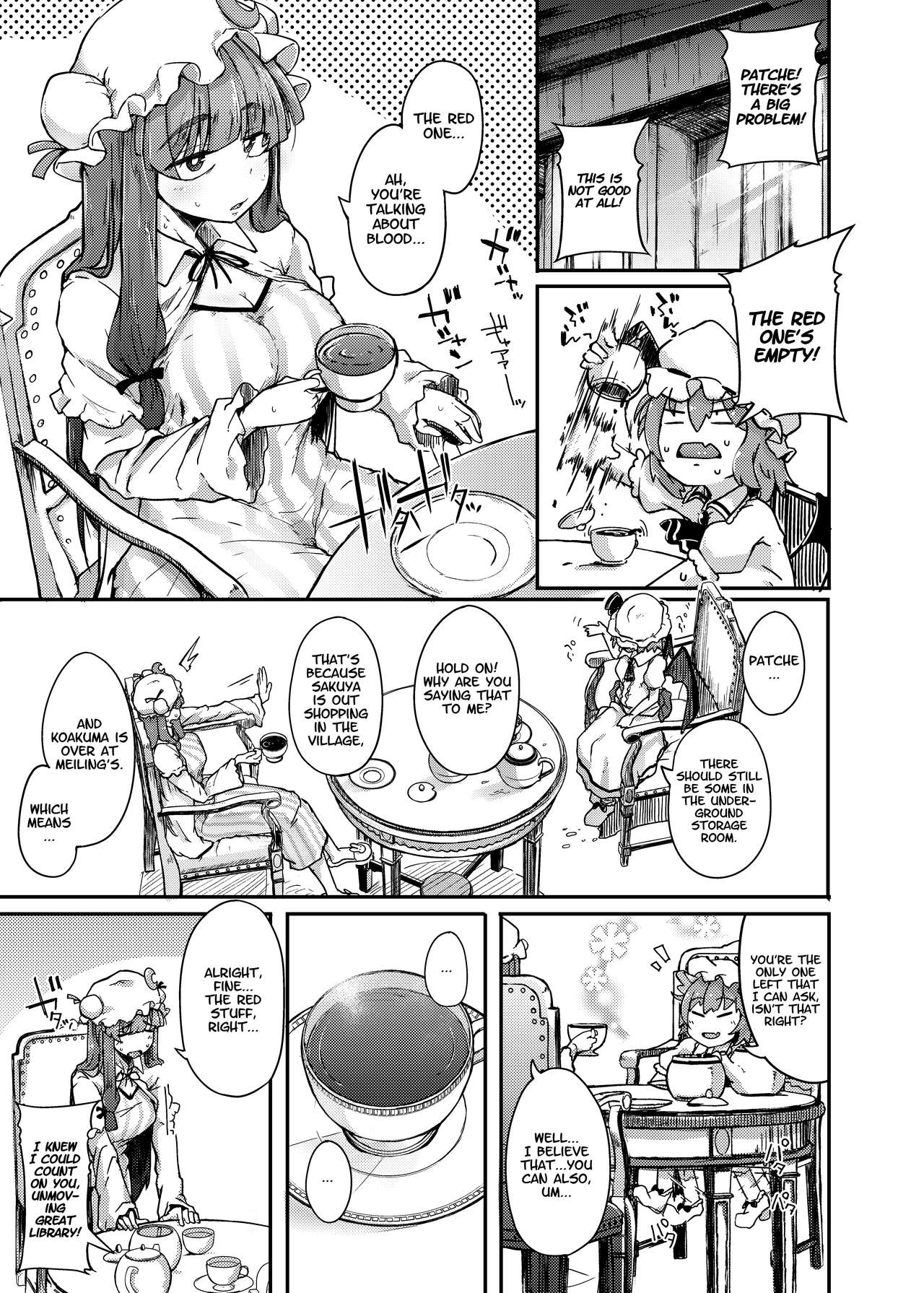[Jikahatsudensho (flanvia)] Ana to Muttsuri Dosukebe Daitoshokan | The Hole and the Closet Perverted Unmoving Great Library (Touhou Project) [English] [Nisor] [Digital] image number 3