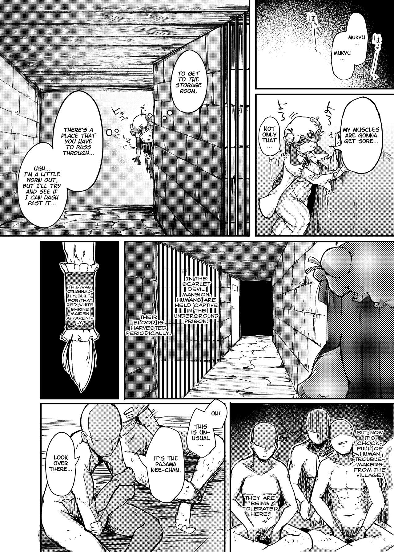 [Jikahatsudensho (flanvia)] Ana to Muttsuri Dosukebe Daitoshokan | The Hole and the Closet Perverted Unmoving Great Library (Touhou Project) [English] [Nisor] [Digital] image number 4