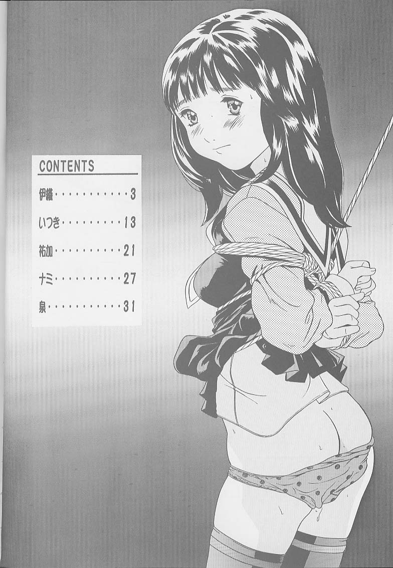 [Momonga-Club (Hayashibara Hikari)] I''s I''s Heroine Kannou Illustration Shuu (I"s) [Incomplete] image number 4