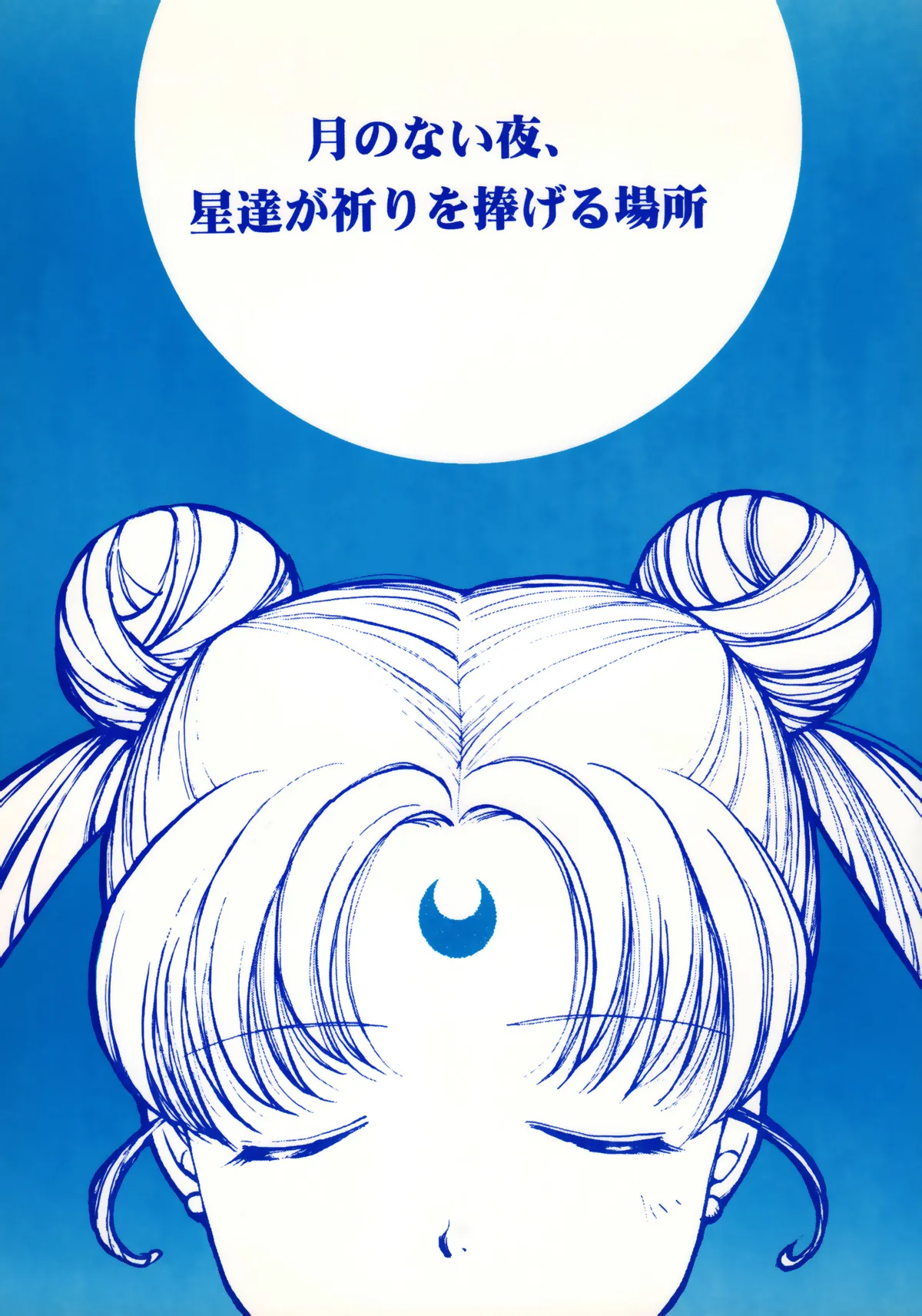 [Mad Tea Party (Karasawa Minko)] Tsuki no Nai Yoru, Hoshitachi ga Inori o Sasageru Basho (Bishoujo Senshi Sailor Moon) numero di immagine  1