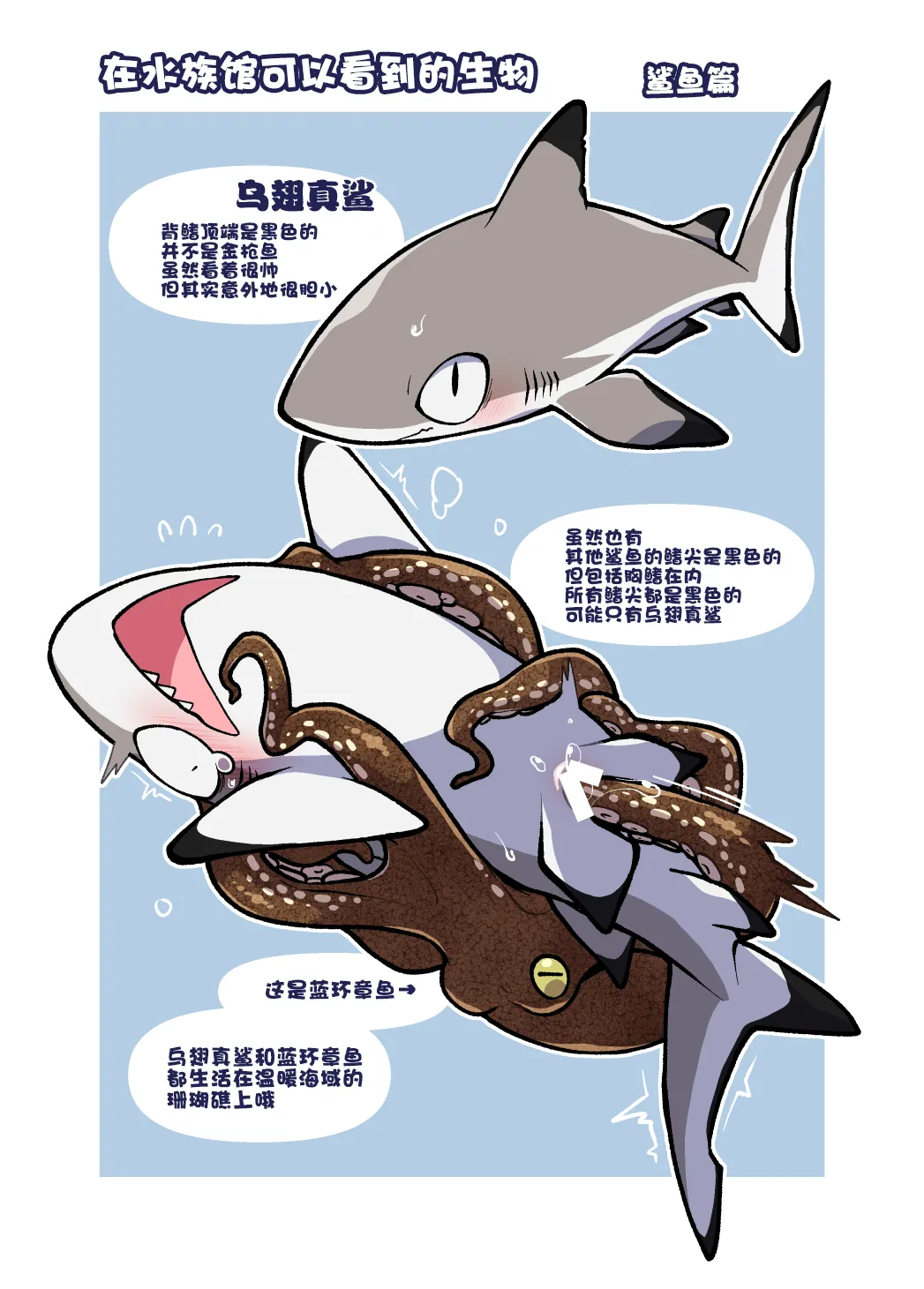 [Ika Guerrilla (Kageyama)] Dokidoki Suizokukan | 心跳不已水族奸 [Chinese] [ZX个人汉化] [Digital] numero di immagine  12