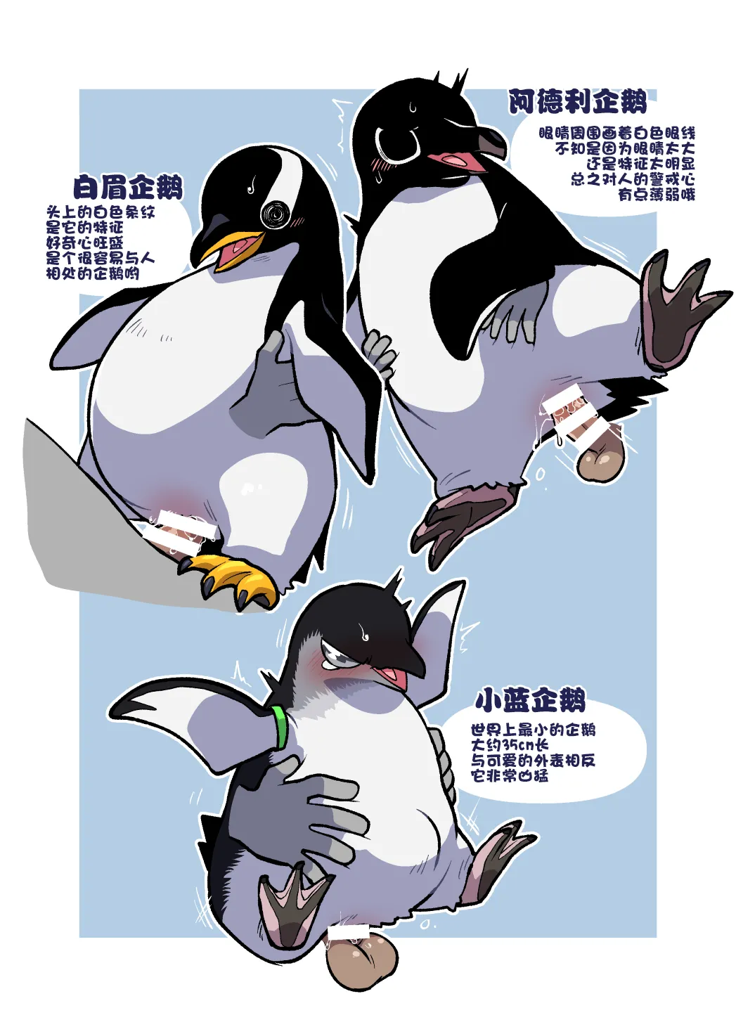 [Ika Guerrilla (Kageyama)] Dokidoki Suizokukan | 心跳不已水族奸 [Chinese] [ZX个人汉化] [Digital] numero di immagine  14