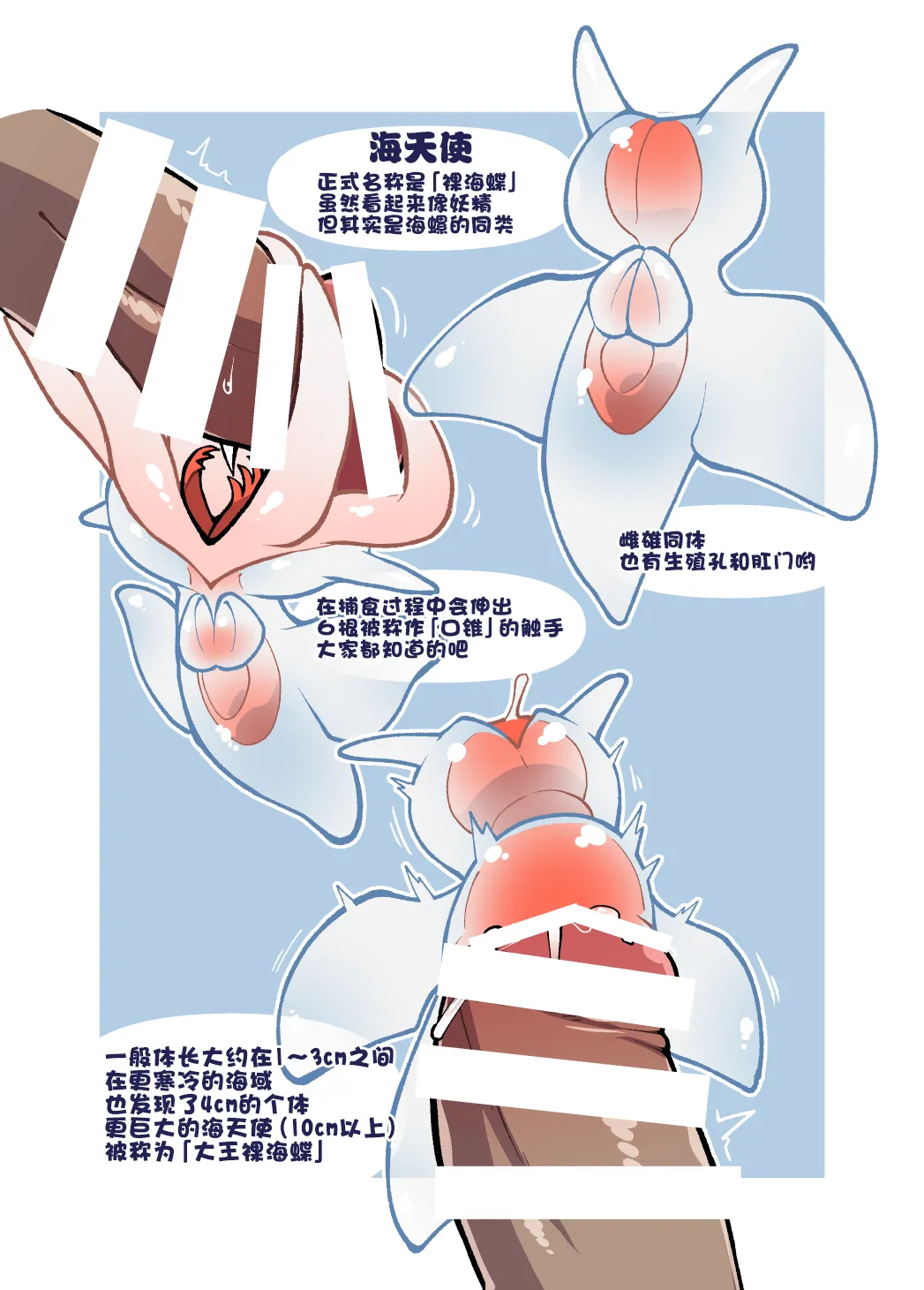 [Ika Guerrilla (Kageyama)] Dokidoki Suizokukan | 心跳不已水族奸 [Chinese] [ZX个人汉化] [Digital] numero di immagine  16