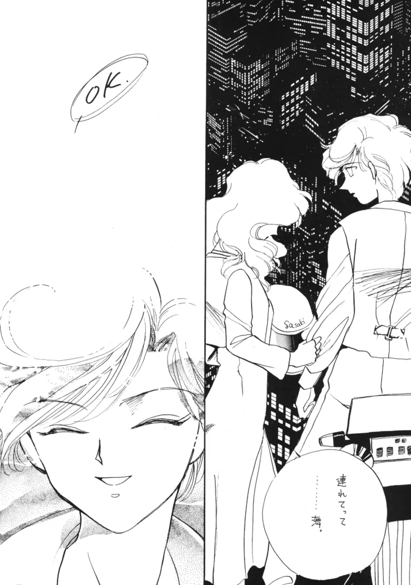 [Hanako (Obata Hanako)] TEN‐KAI 3 (Bishoujo Senshi Sailor Moon) 图片编号 22