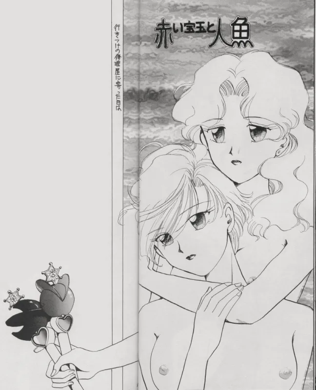 [Hanako (Obata Hanako)] TSUGAI HARUKA TENOH BIRTHDAY BOOK (Bishoujo Senshi Sailor Moon) 图片编号 12