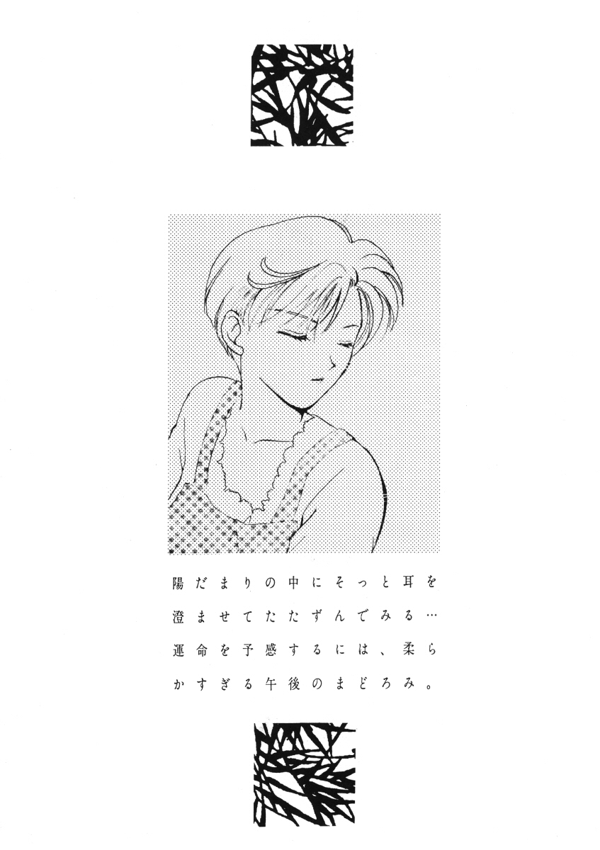 [Mirage House (Fujiya Yoshiko, Makise Renko, Yamada Hiyori)] Kuchiduke dake Ja Kimi ni Tsutaerarenai (Bishoujo Senshi Sailor Moon) imagen número 11