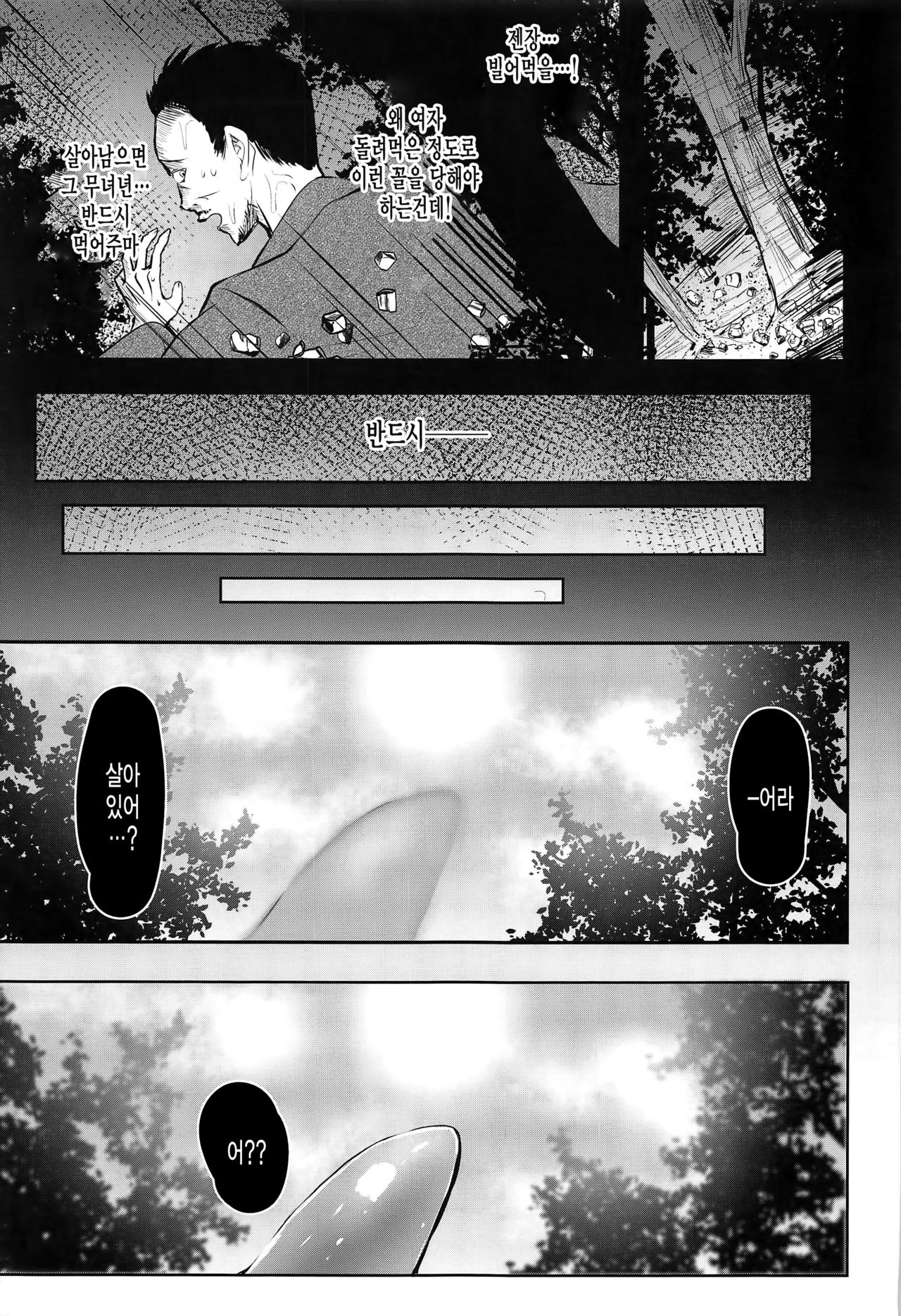 (C97) [Wada Mountain ("Takashi")] Shokushu Tensei (Touhou Project) [Korean] [미쿠다요] imagen número 4