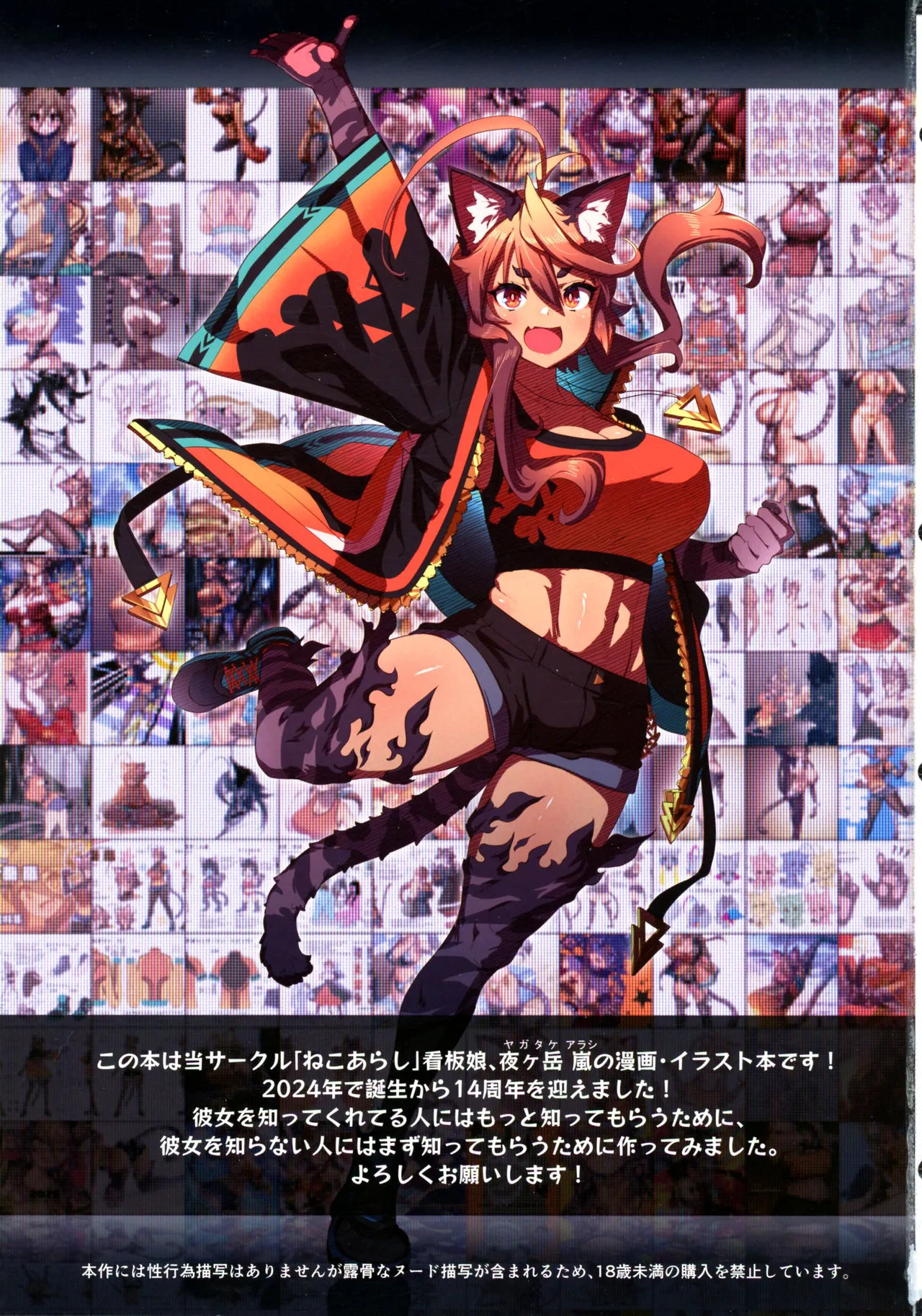 (C105) [Nekoarashi (Yana)] Hare, Tokidoki Arashi imagen número 3