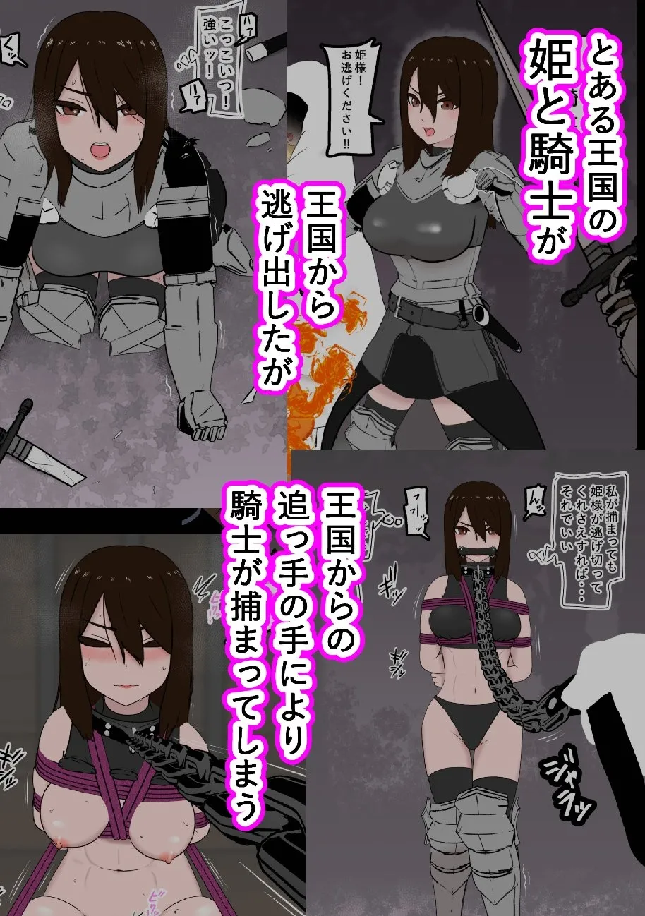 騎士・姫敗北拘束記録 image number 1