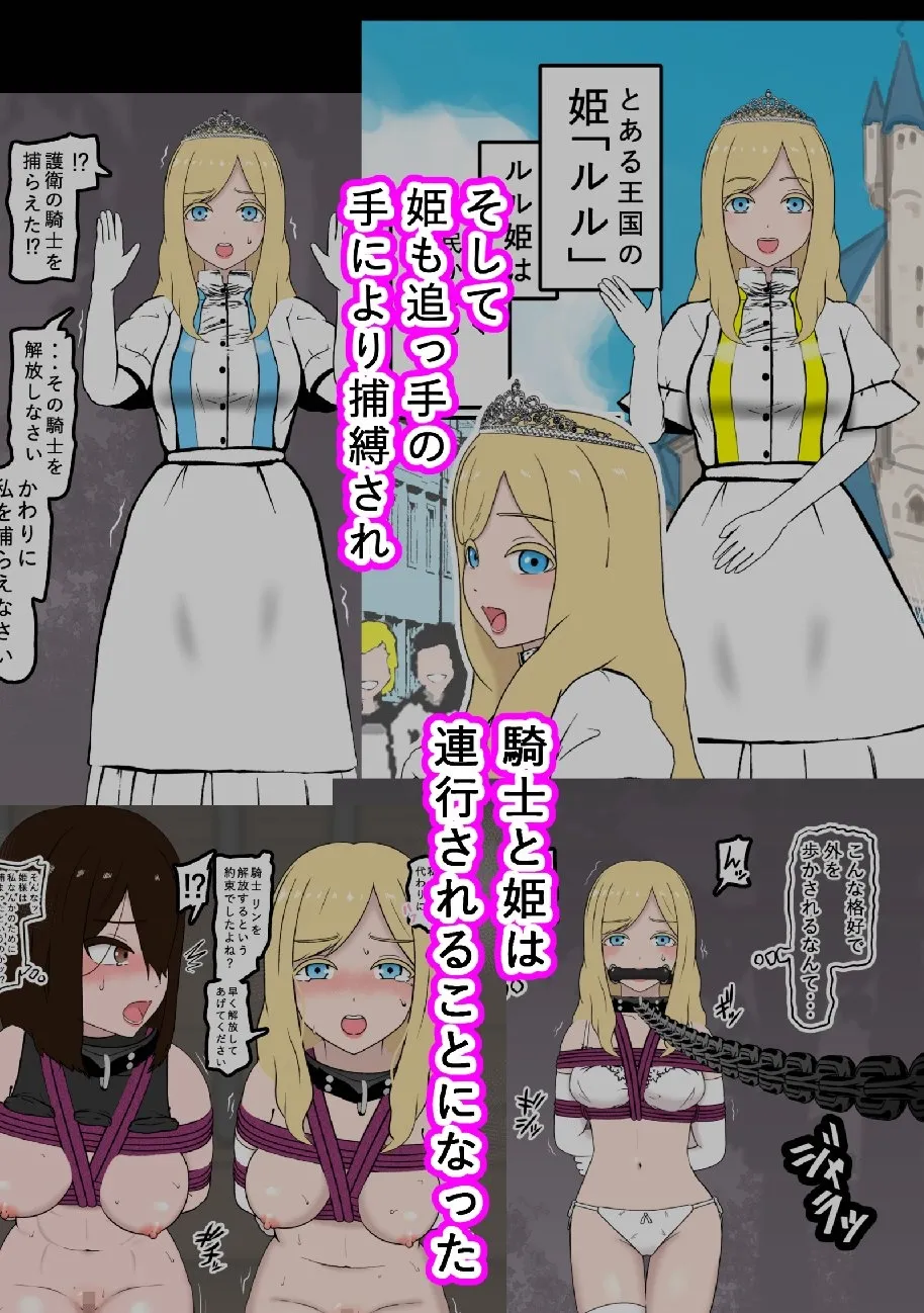 騎士・姫敗北拘束記録 image number 2