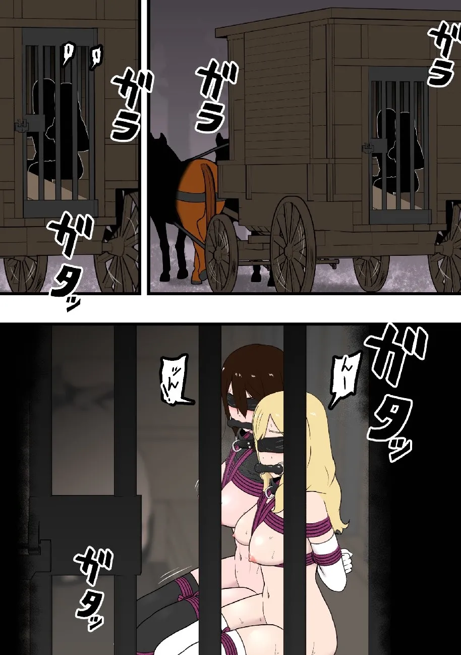 騎士・姫敗北拘束記録 image number 3