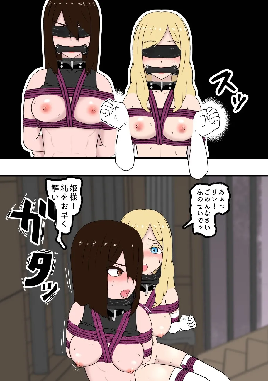 騎士・姫敗北拘束記録 image number 8