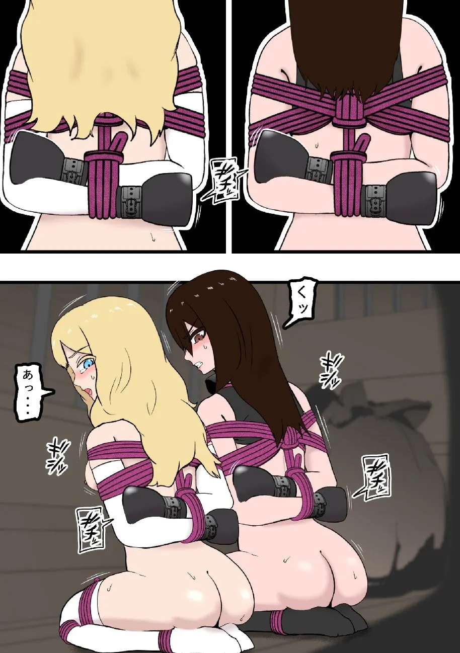 騎士・姫敗北拘束記録 image number 11