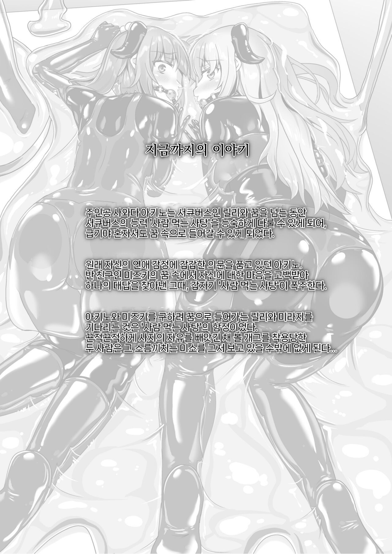 [Cheeseyeast (Naka)] Yumewatari no Mistress night 9 [korean] 이미지 번호 6