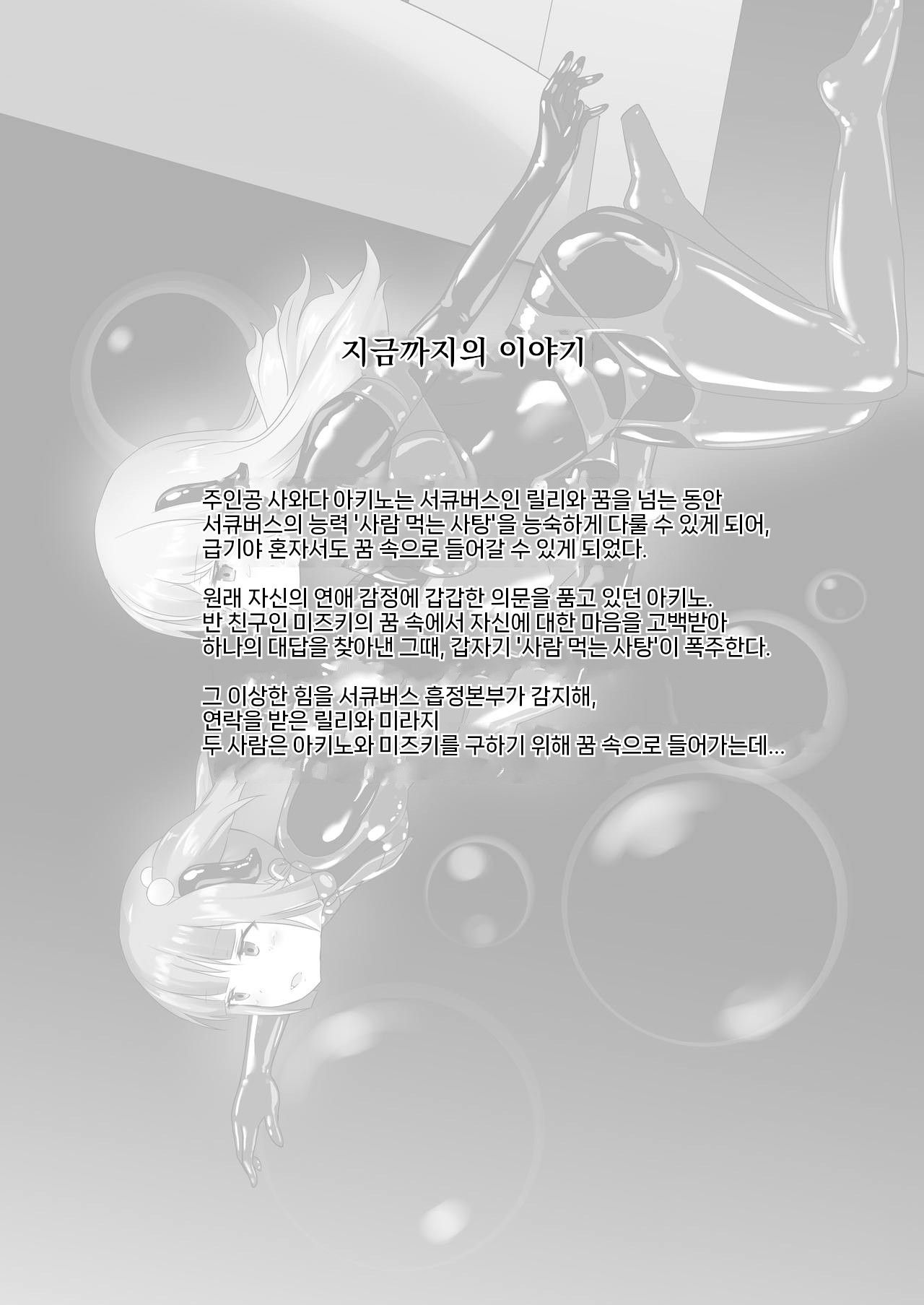 [Cheeseyeast (Naka)] Yumewatari no Mistress night 8 [korean] numero di immagine  6