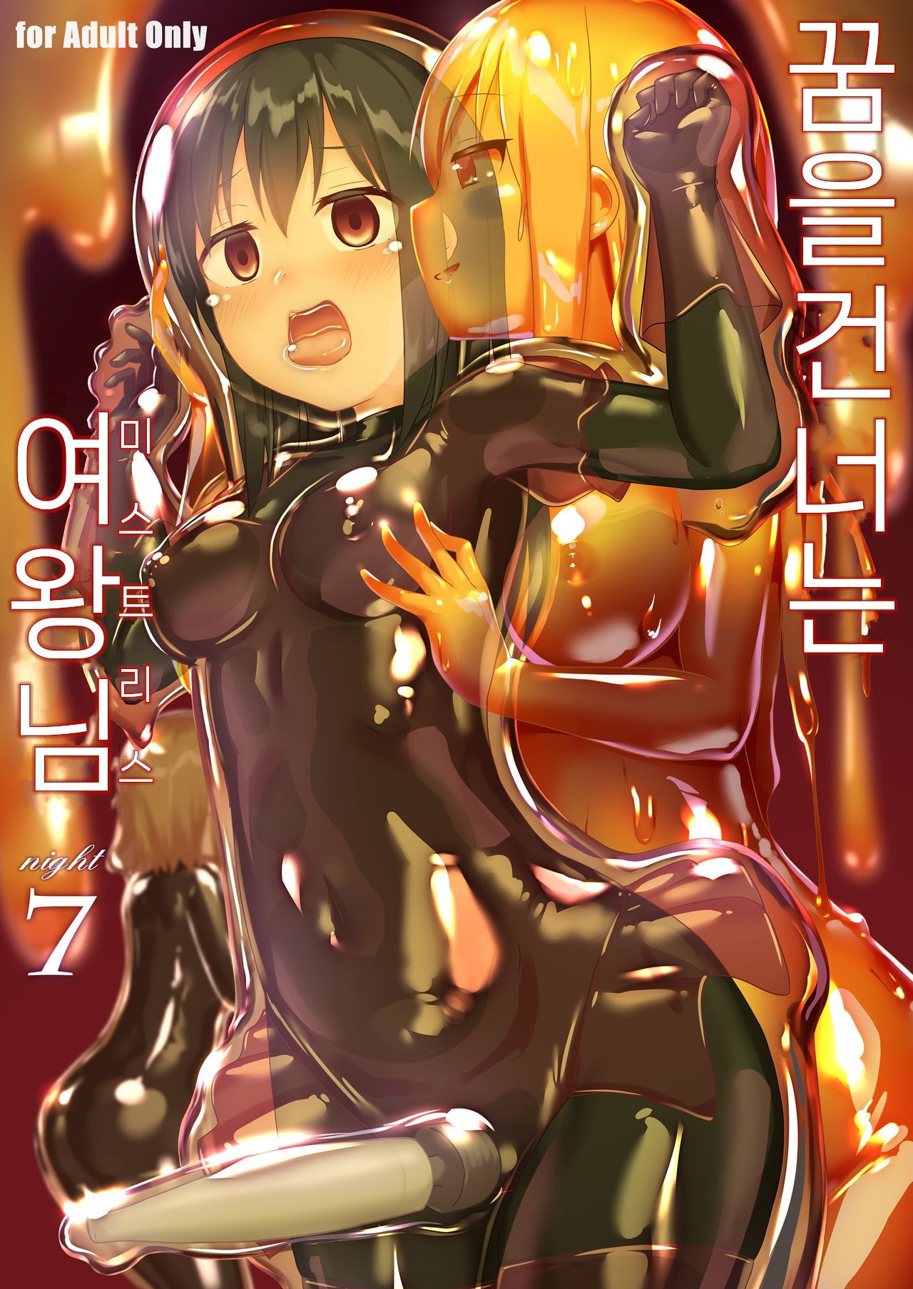 [Cheeseyeast (Naka)] Yumewatari no Mistress night 7 [korean] numero di immagine  1