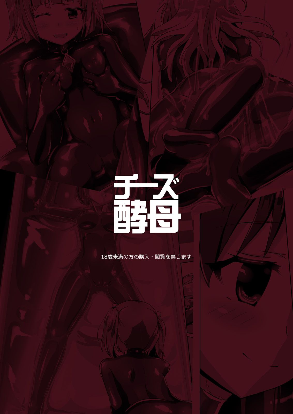 [Cheeseyeast (Naka)] Yumewatari no Mistress night 2 [korean] 이미지 번호 40