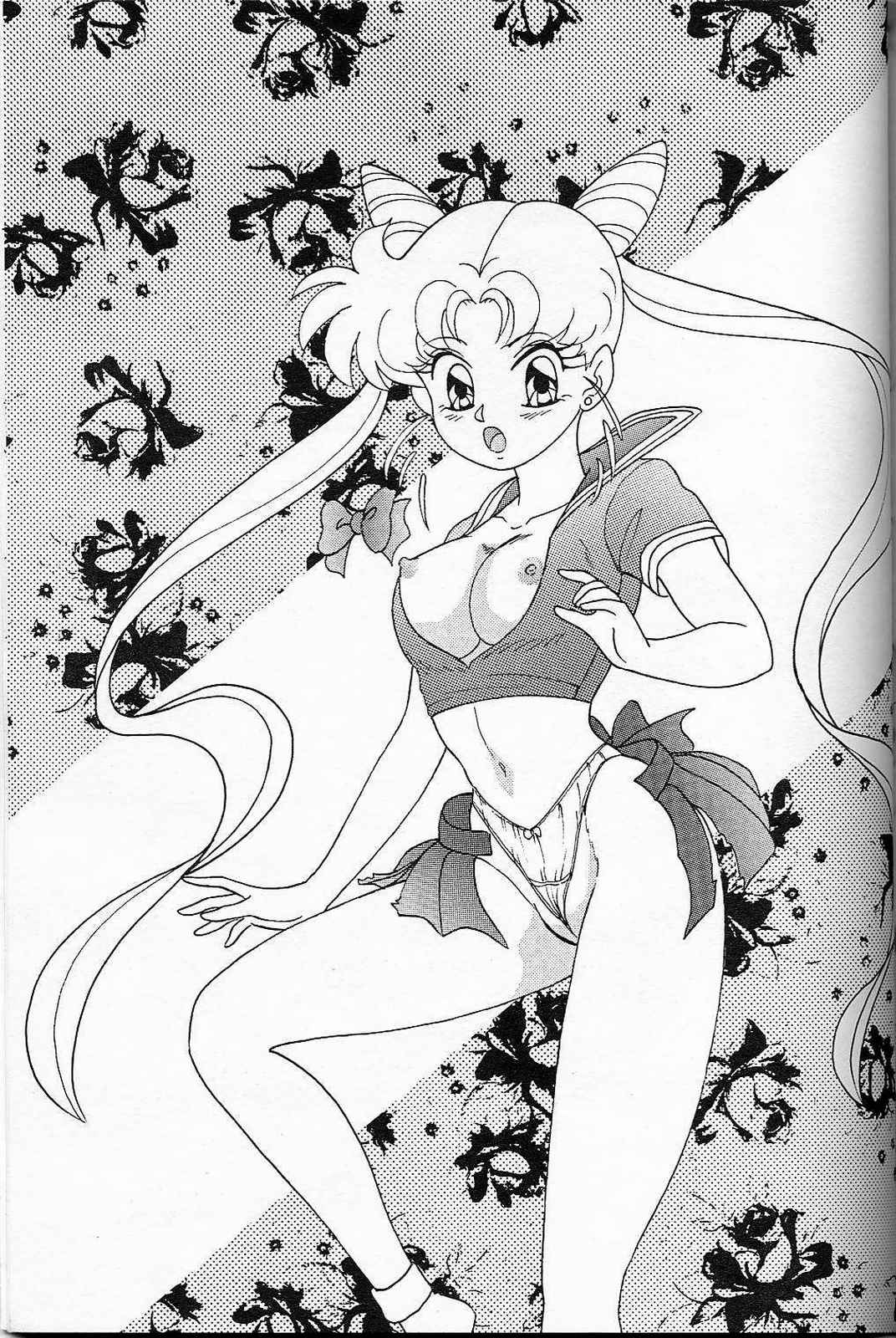 [Chandora, LUNCH BOX (Makunouchi Isami)] LUNCH BOX 6 USAGi (Bishoujo Senshi Sailor Moon) Bildnummer 50