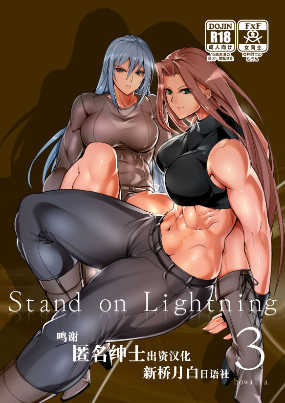 [TLG (bowalia)] Stand on Lightning 3 [Chinese] [新桥月白日语社] image number 1
