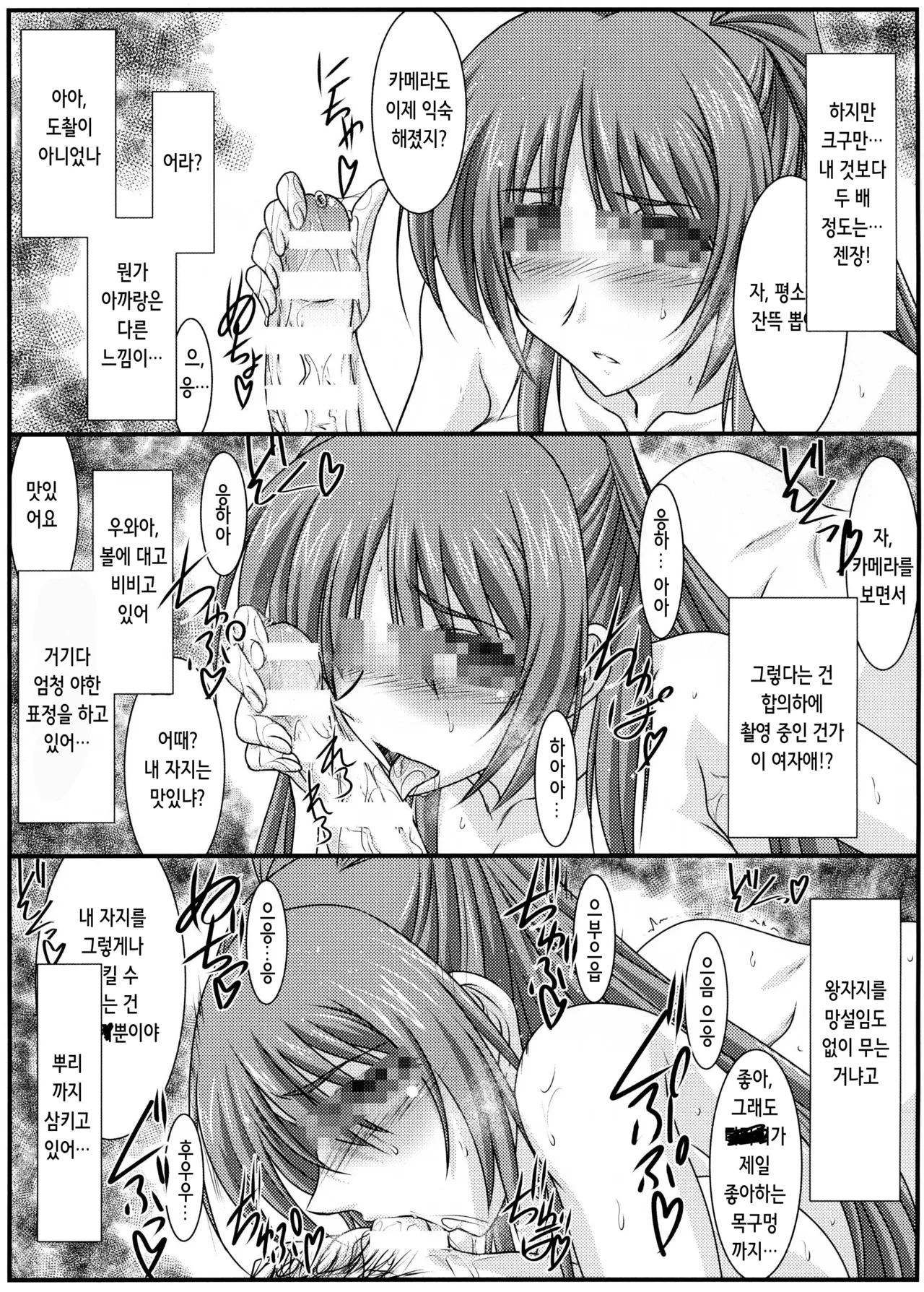 (C88) [STUDIO TRIUMPH (Mutou Keiji)] Astral Bout Ver.31 (ToHeart2) [Korean] numero di immagine  9