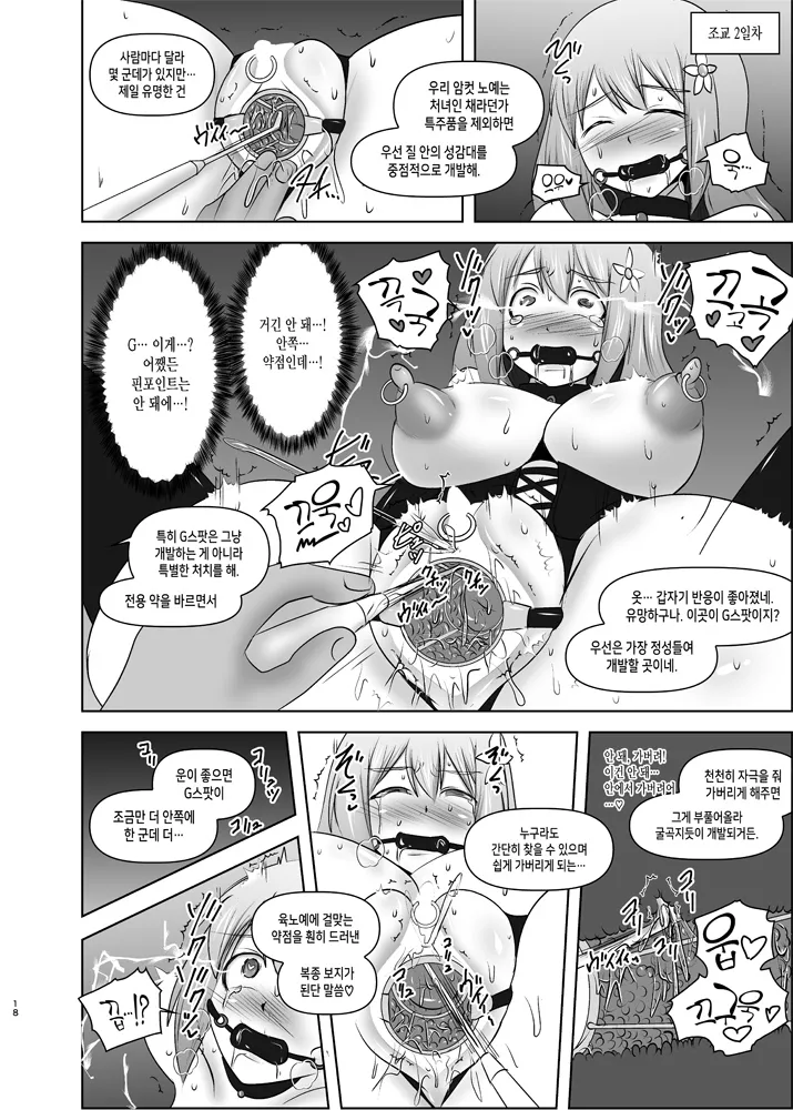 (C91) [FONETRASON (Ryutou)] Raygis Valicess Elsain "Hajigyaku no Reigokutou Kouhen" | 황순전희 엘세인 치학의 노예섬 후편 [Korean] изображение № 17