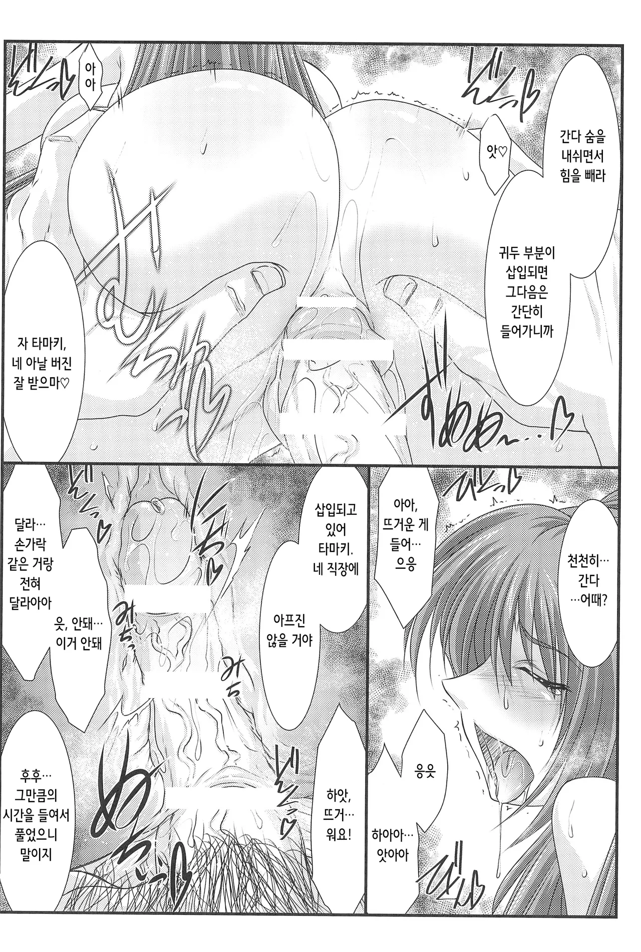 (C90) [STUDIO TRIUMPH (Mutou Keiji)] Astral Bout Ver.33 (To Heart 2) [Korean] 图片编号 12