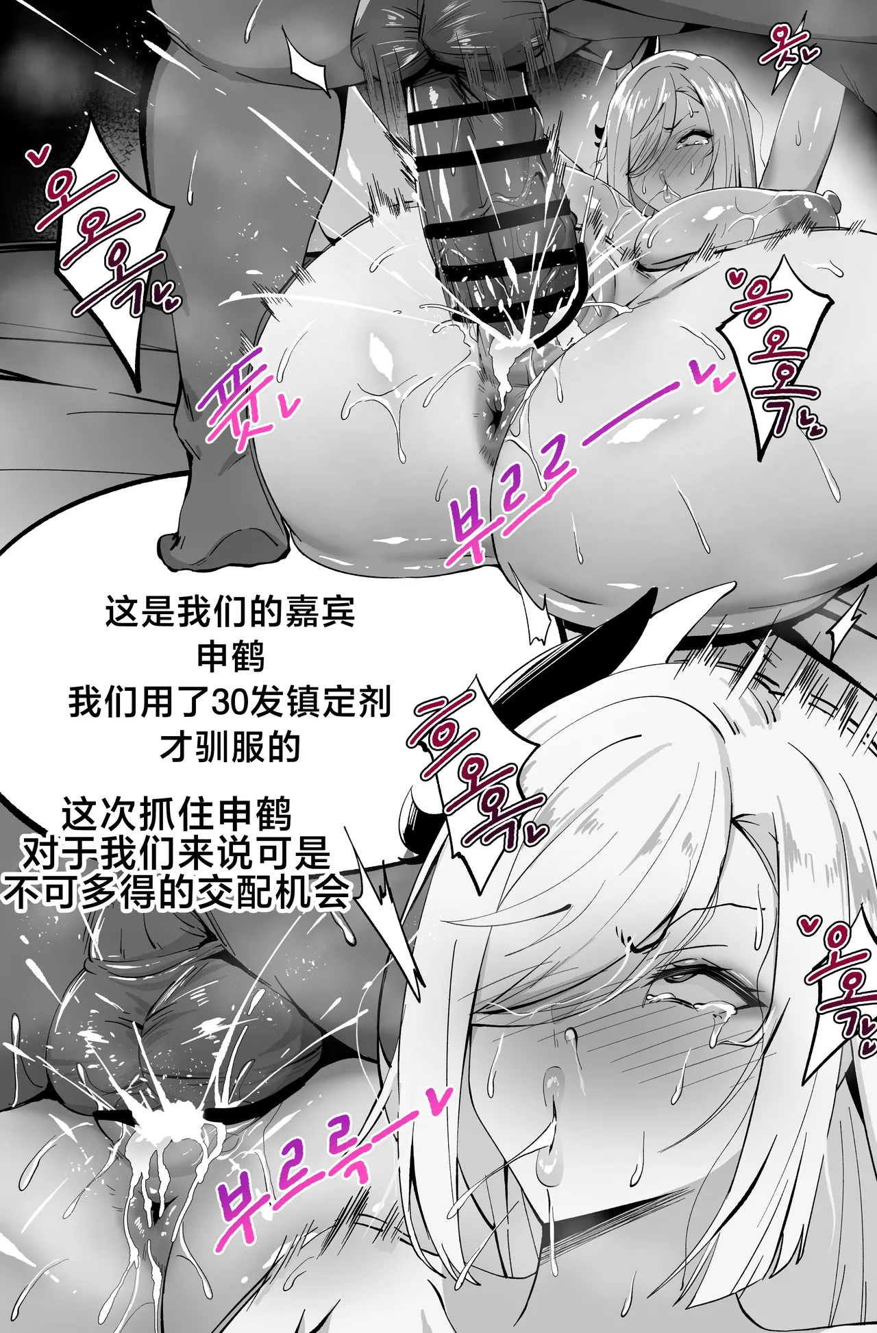 cherachera 图片编号 13