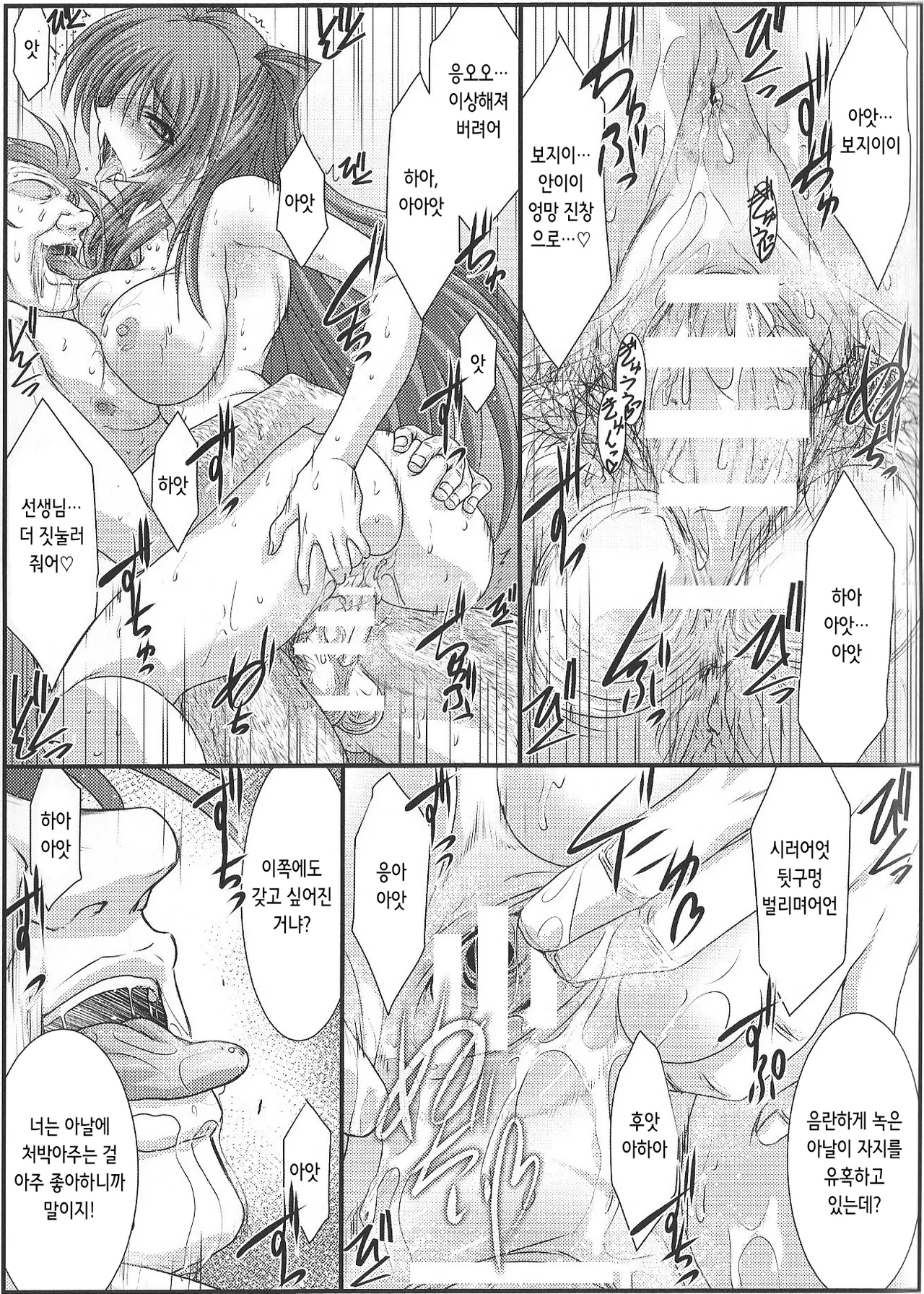 (C91) [STUDIO TRIUMPH (Mutou Keiji)] Astral Bout Ver.35 (To Heart 2) [Korean] 图片编号 26