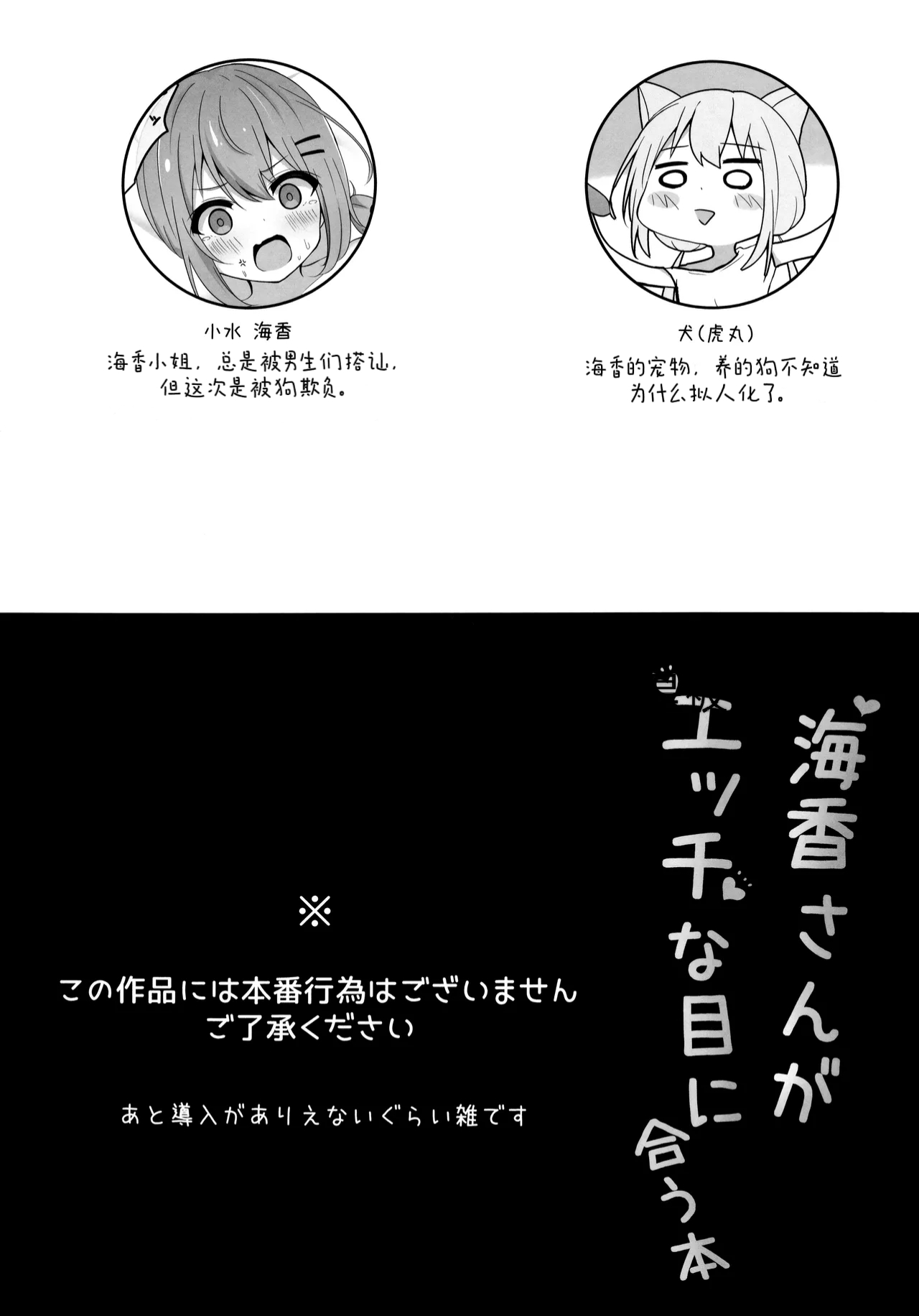 (C102) [Izumi no Miyako (Nagomi Yayado)] Umiko-San ga Ecchi na Me ni Au Hon | 海香小姐的情色配对之书 [Chinese] [dolier个人汉化] image number 2