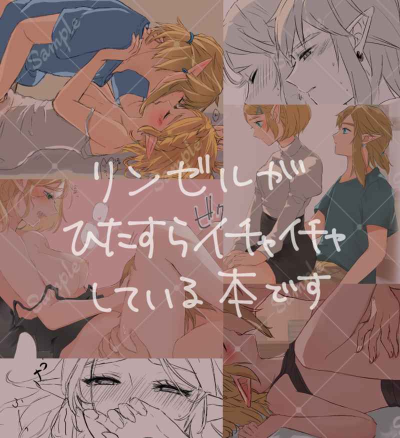 [ Rchet]+α [The Legend of Zelda) image number 5