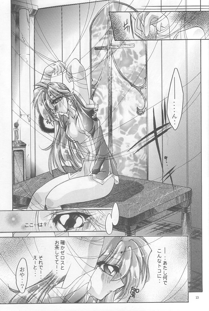 [Himuro DOLL (Narumi*Reimu)] Velvet Moon (Slayers) 이미지 번호 10