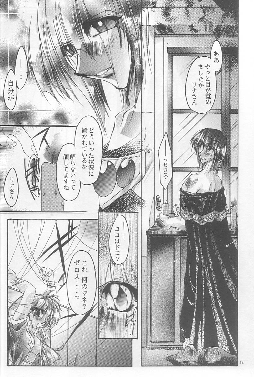 [Himuro DOLL (Narumi*Reimu)] Velvet Moon (Slayers) 이미지 번호 11