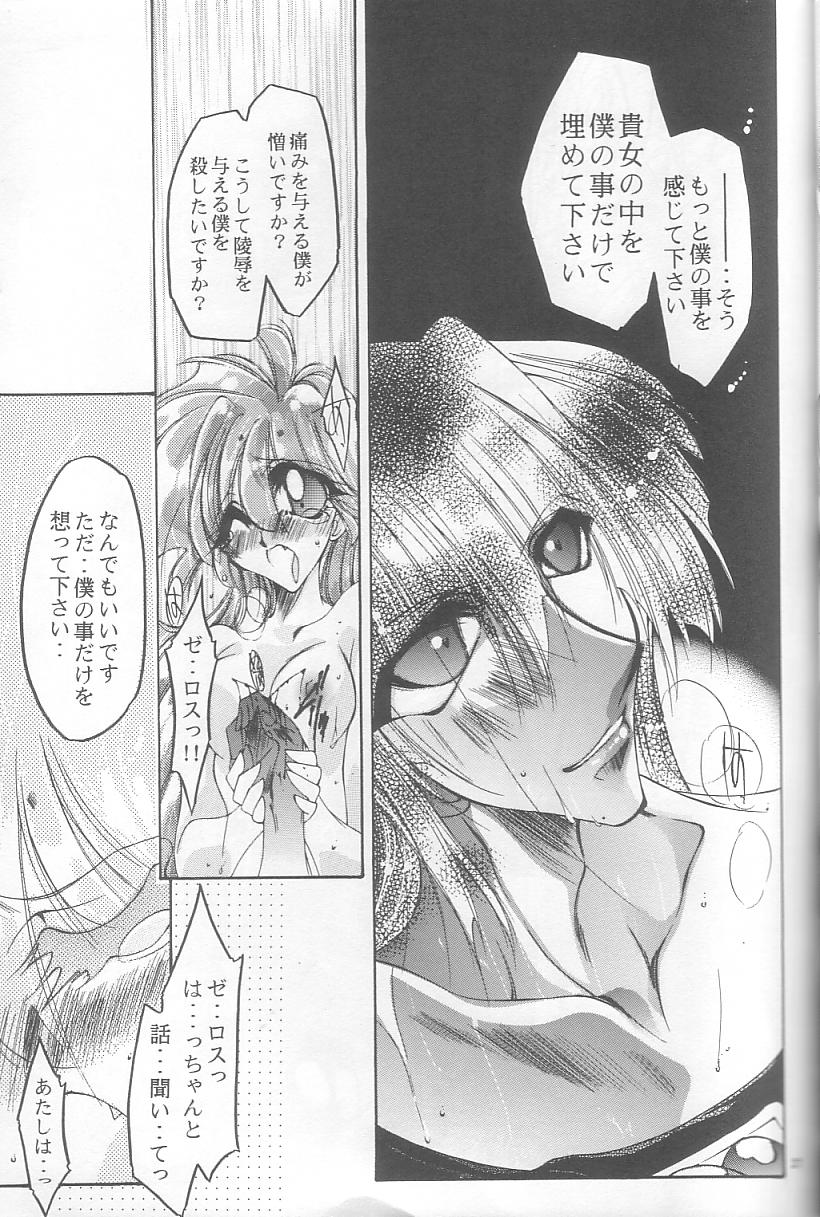 [Himuro DOLL (Narumi*Reimu)] Velvet Moon (Slayers) 이미지 번호 24