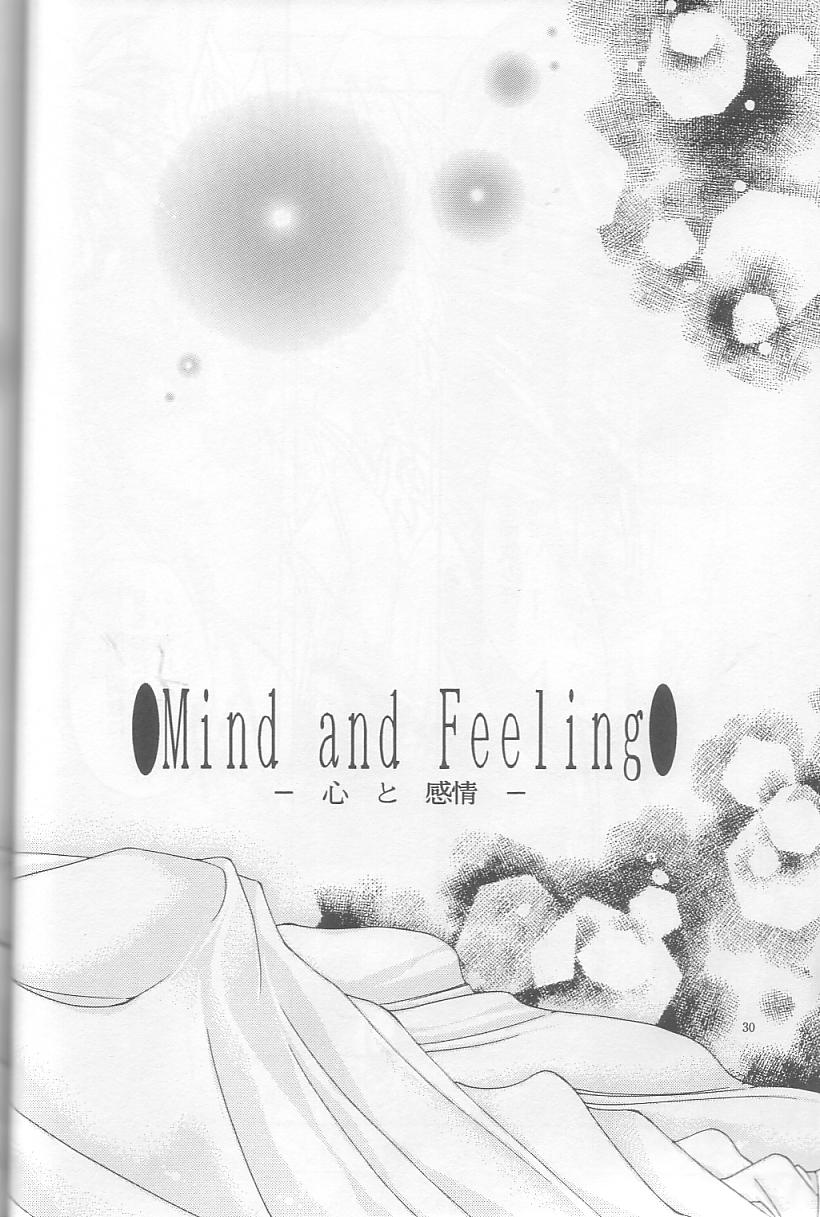 [Himuro DOLL (Narumi*Reimu)] Velvet Moon (Slayers) 이미지 번호 27