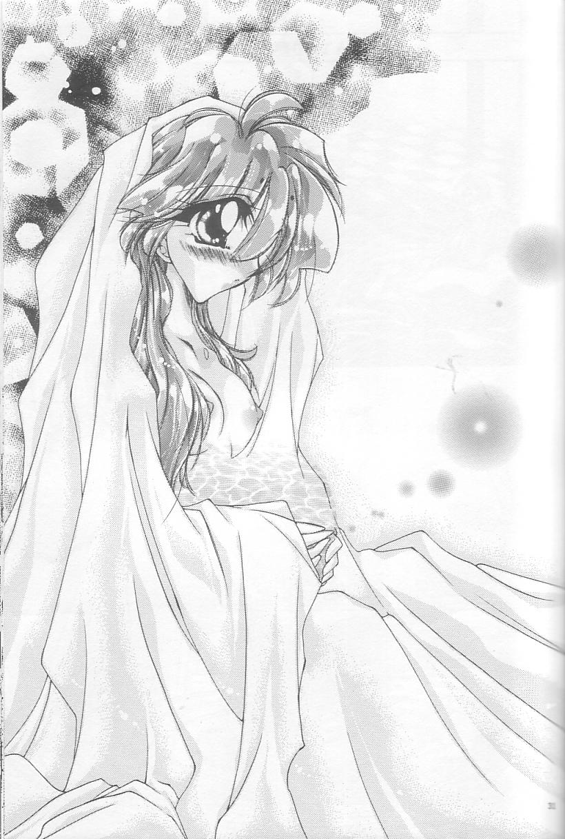 [Himuro DOLL (Narumi*Reimu)] Velvet Moon (Slayers) 이미지 번호 28